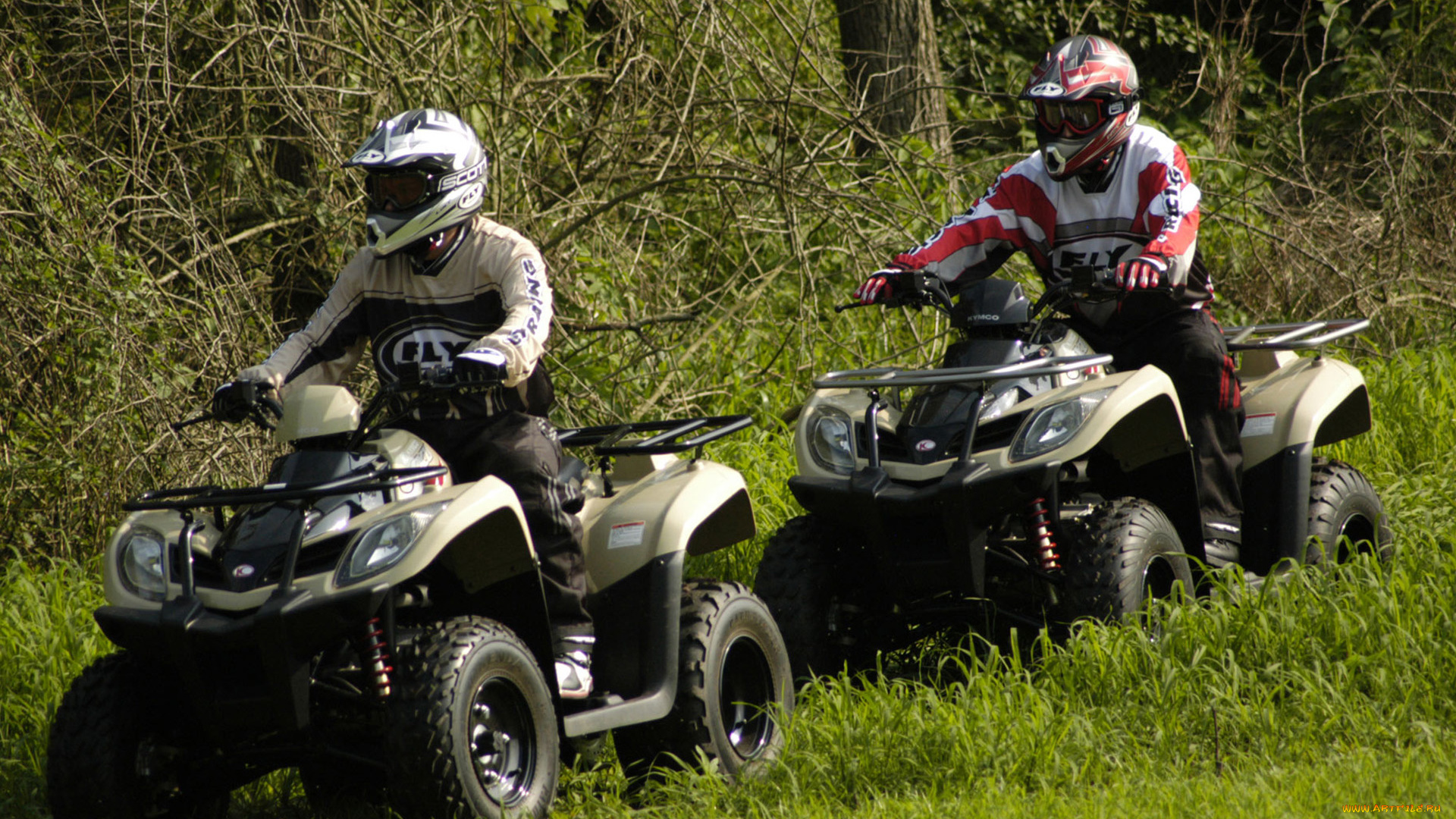 мотоциклы, квадроциклы