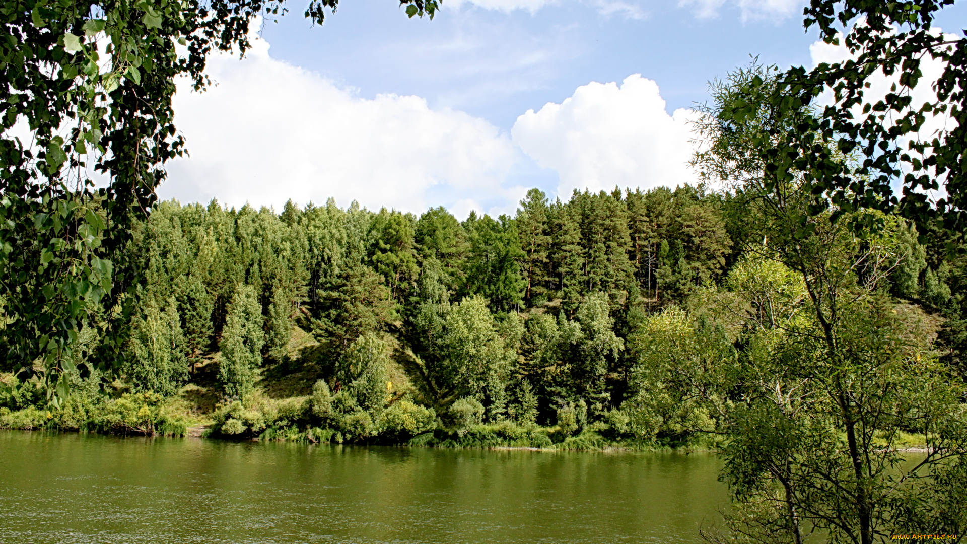 природа, реки, озера, лес, река