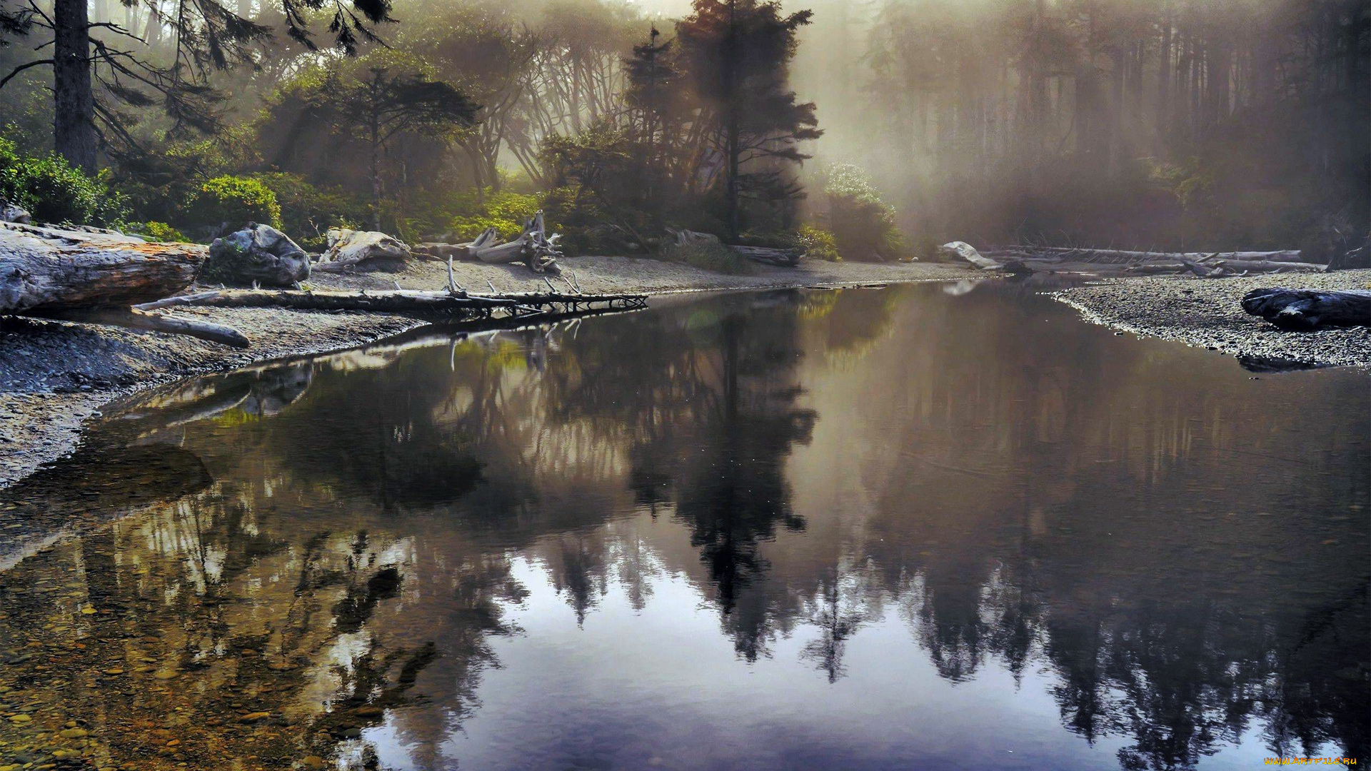 природа, реки, озера, лес, река, туман, тишина