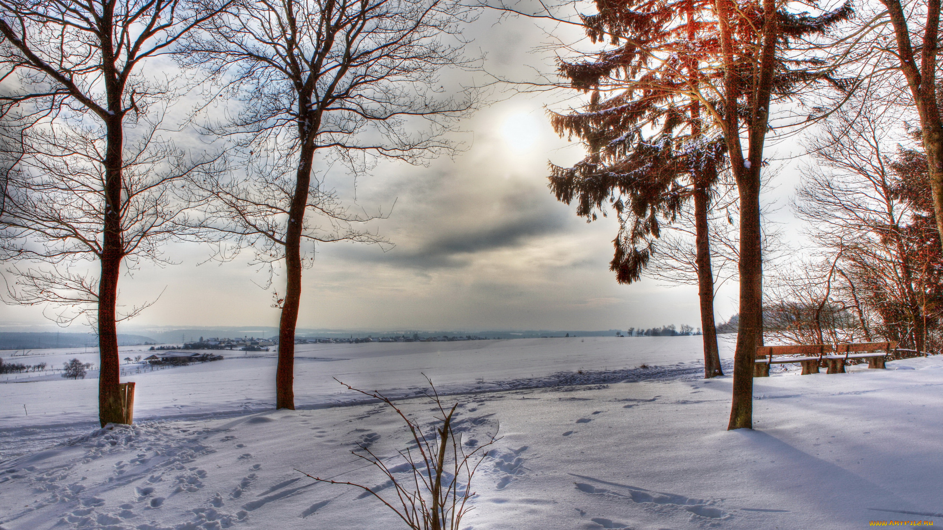 природа, зима, снег