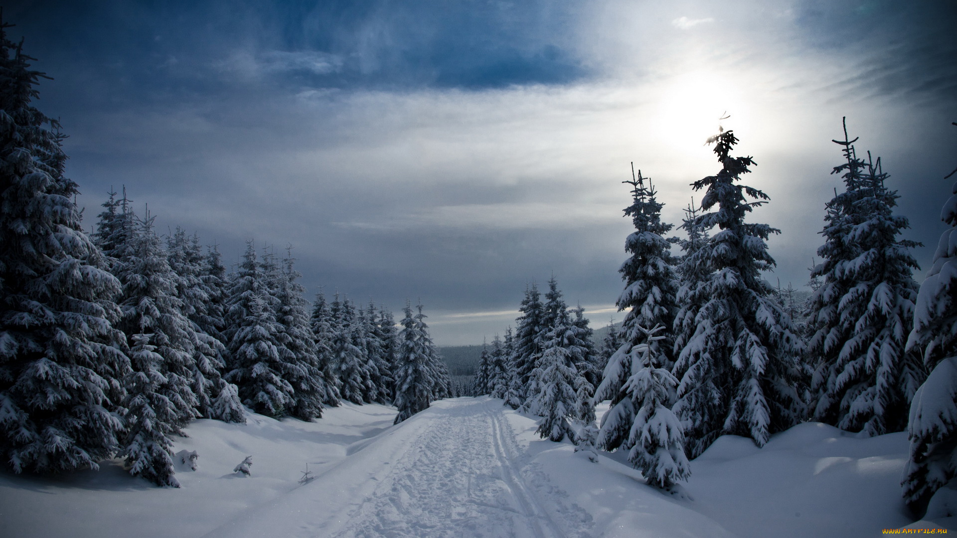 природа, зима, снег, ели, небо