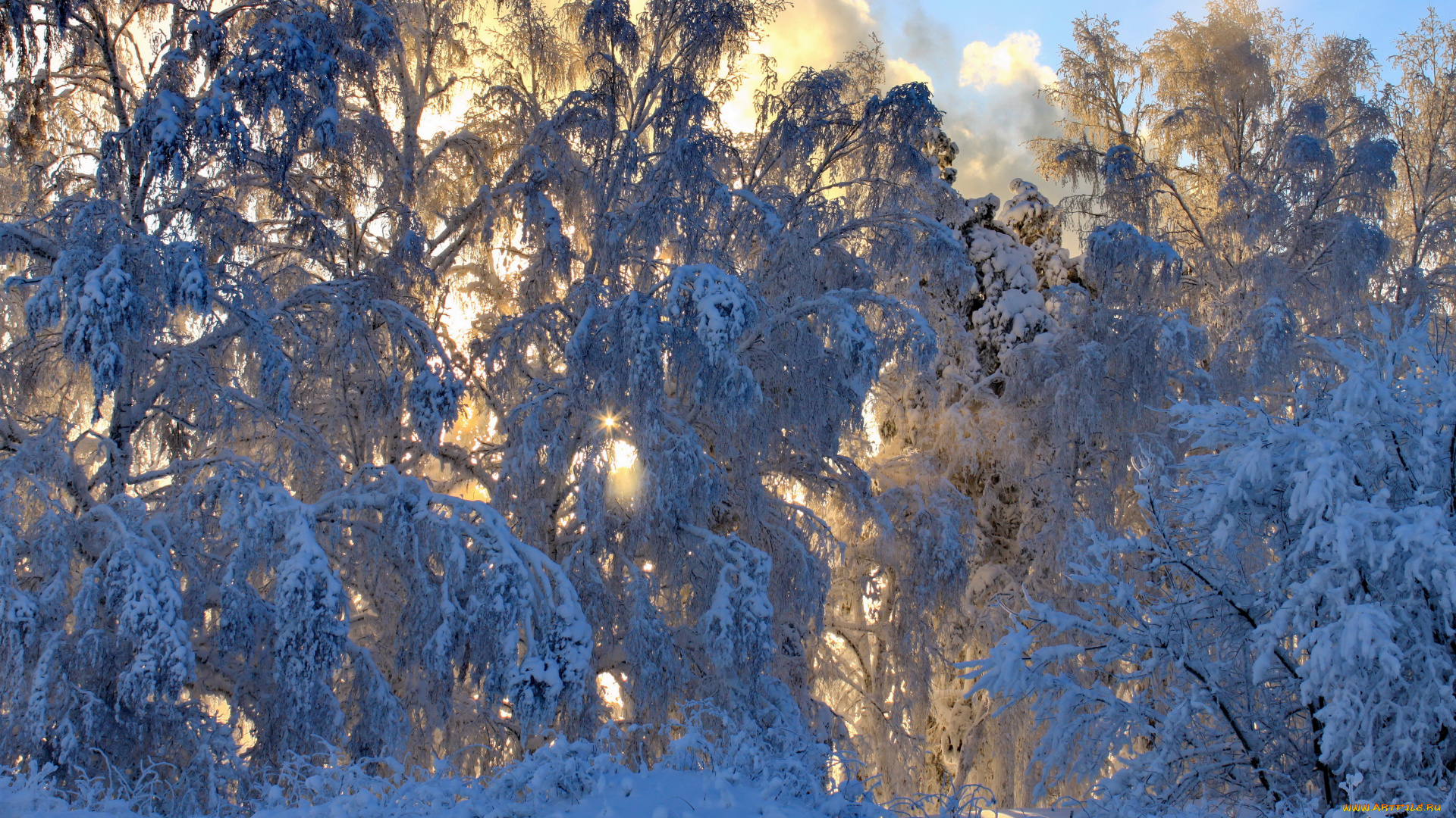 природа, зима, снег, лес