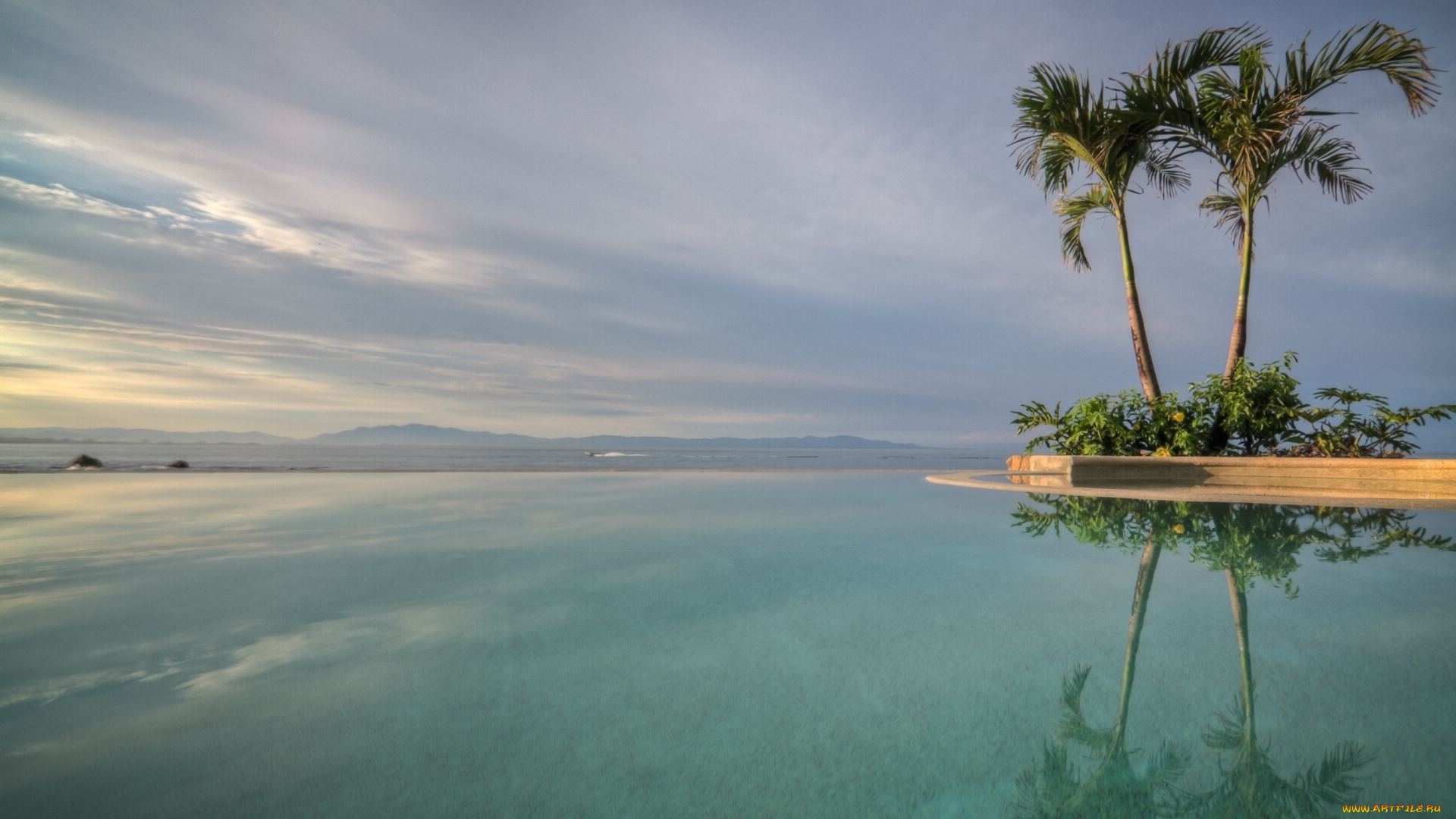 puerto, vallarta, mexico, природа, тропики, вода, отражение, пуэрто-вальярта, мексика, пальмы