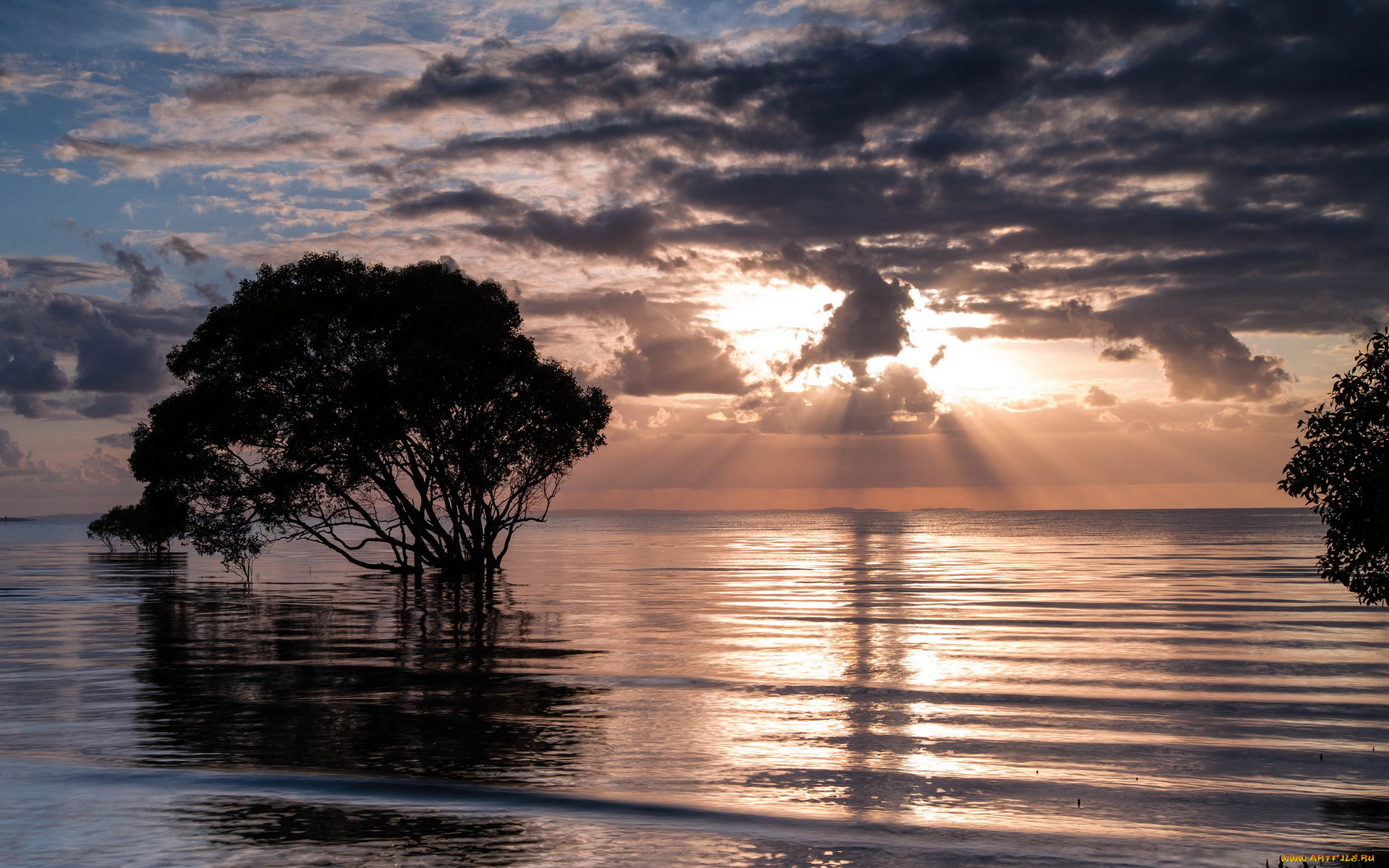 3д, графика, nature, landscape, природа, тучи, сумрак, дерево, горизонт, озеро