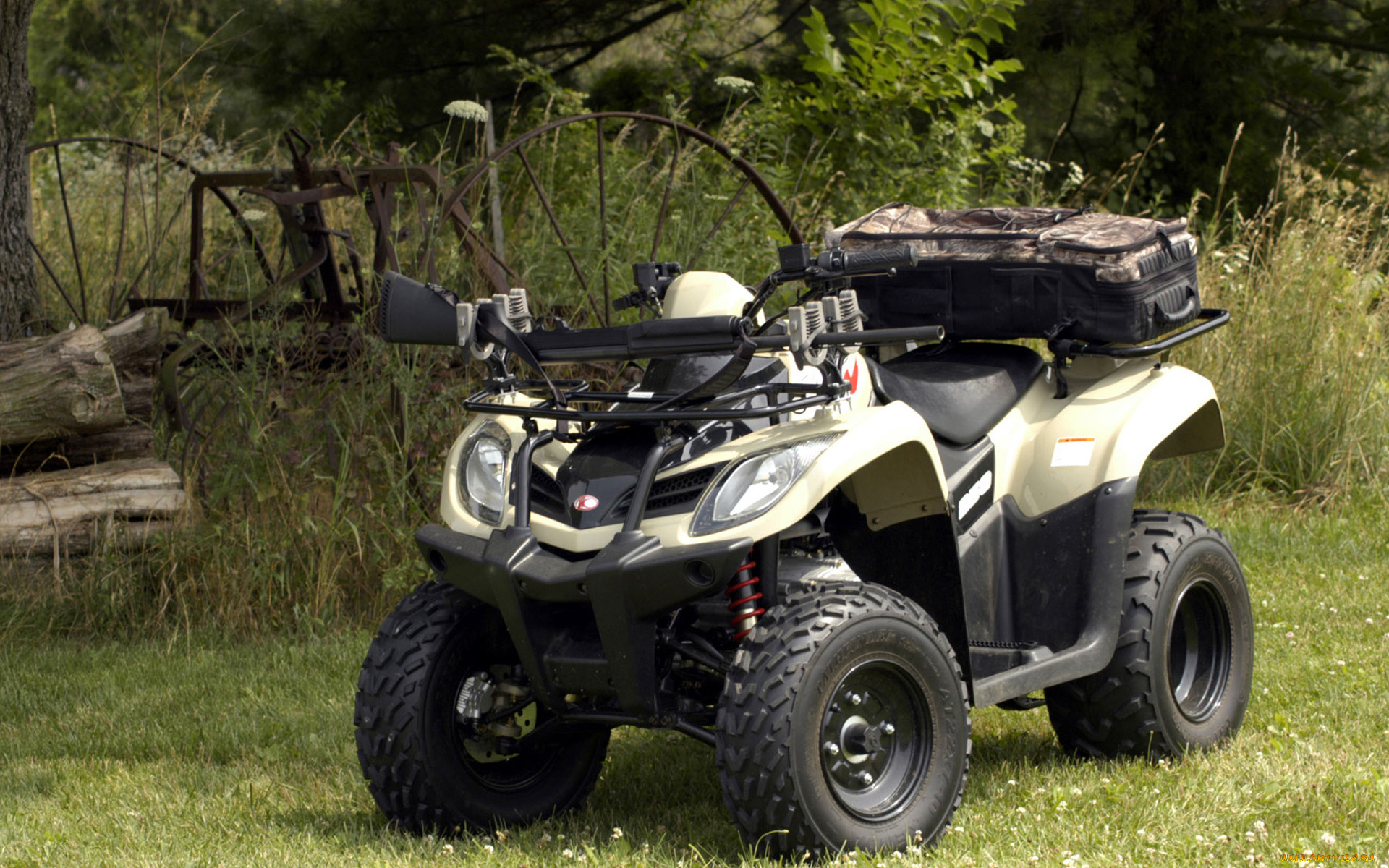 мотоциклы, квадроциклы