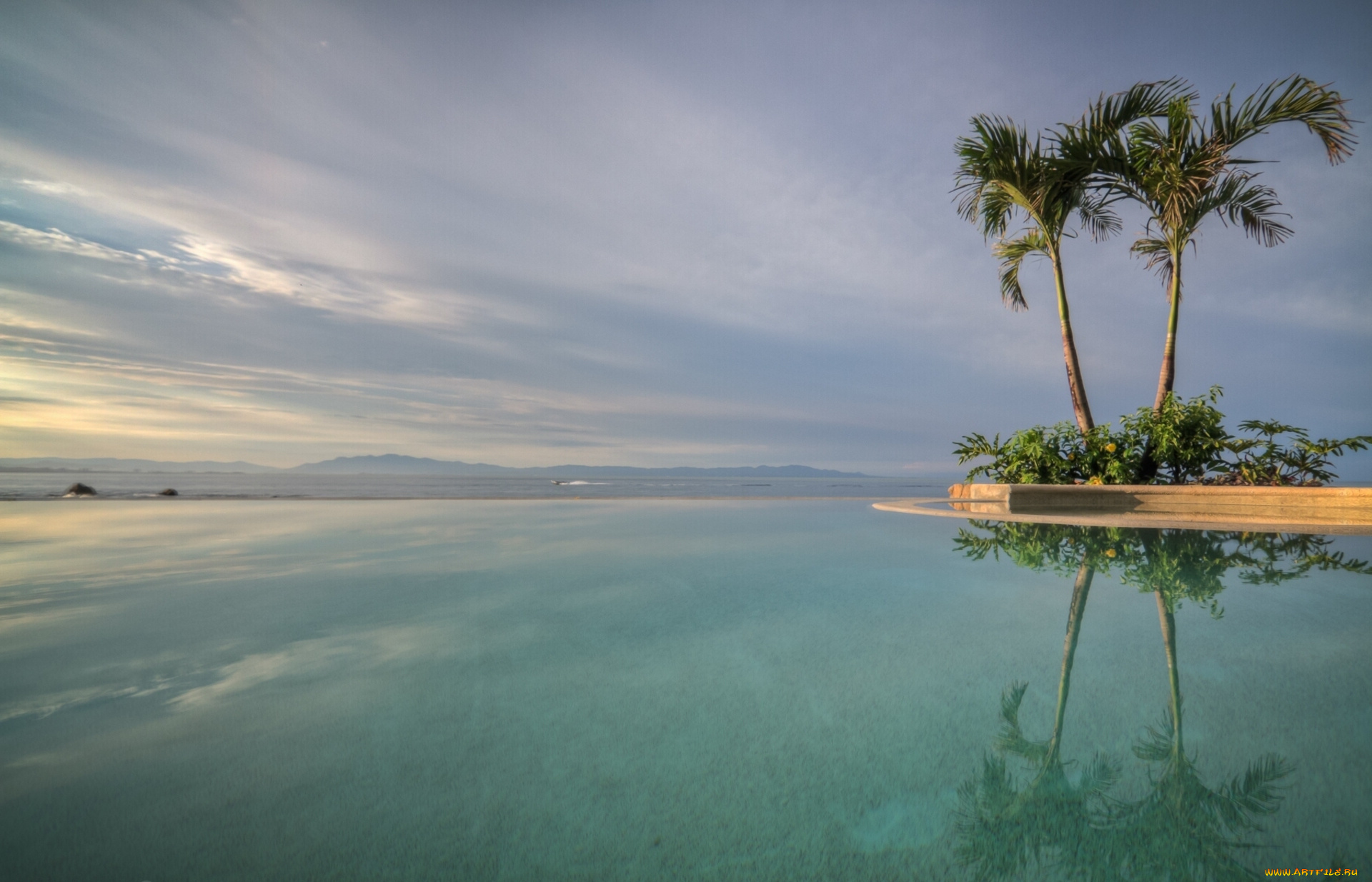 puerto, vallarta, mexico, природа, тропики, вода, отражение, пуэрто-вальярта, мексика, пальмы