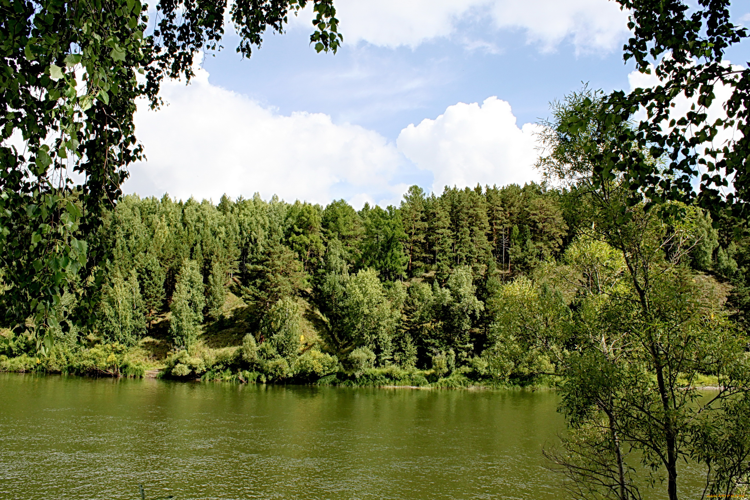 природа, реки, озера, лес, река