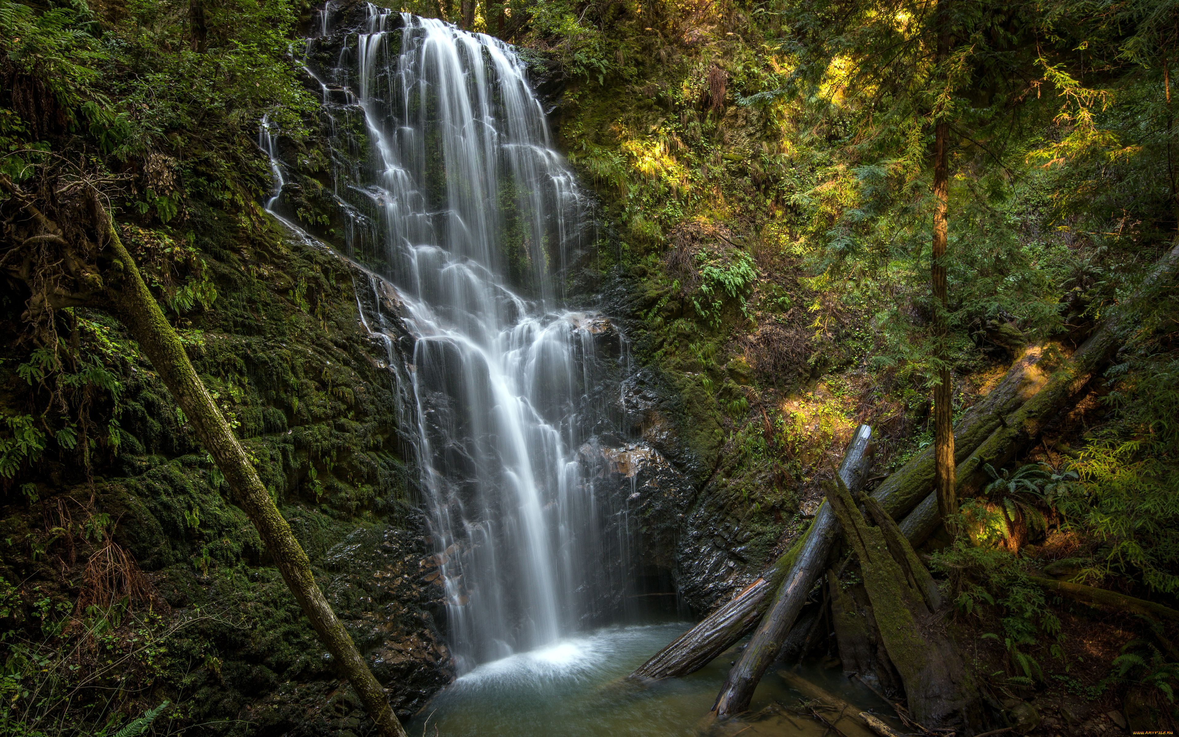 berry, creek, falls, california, природа, водопады, брёвна