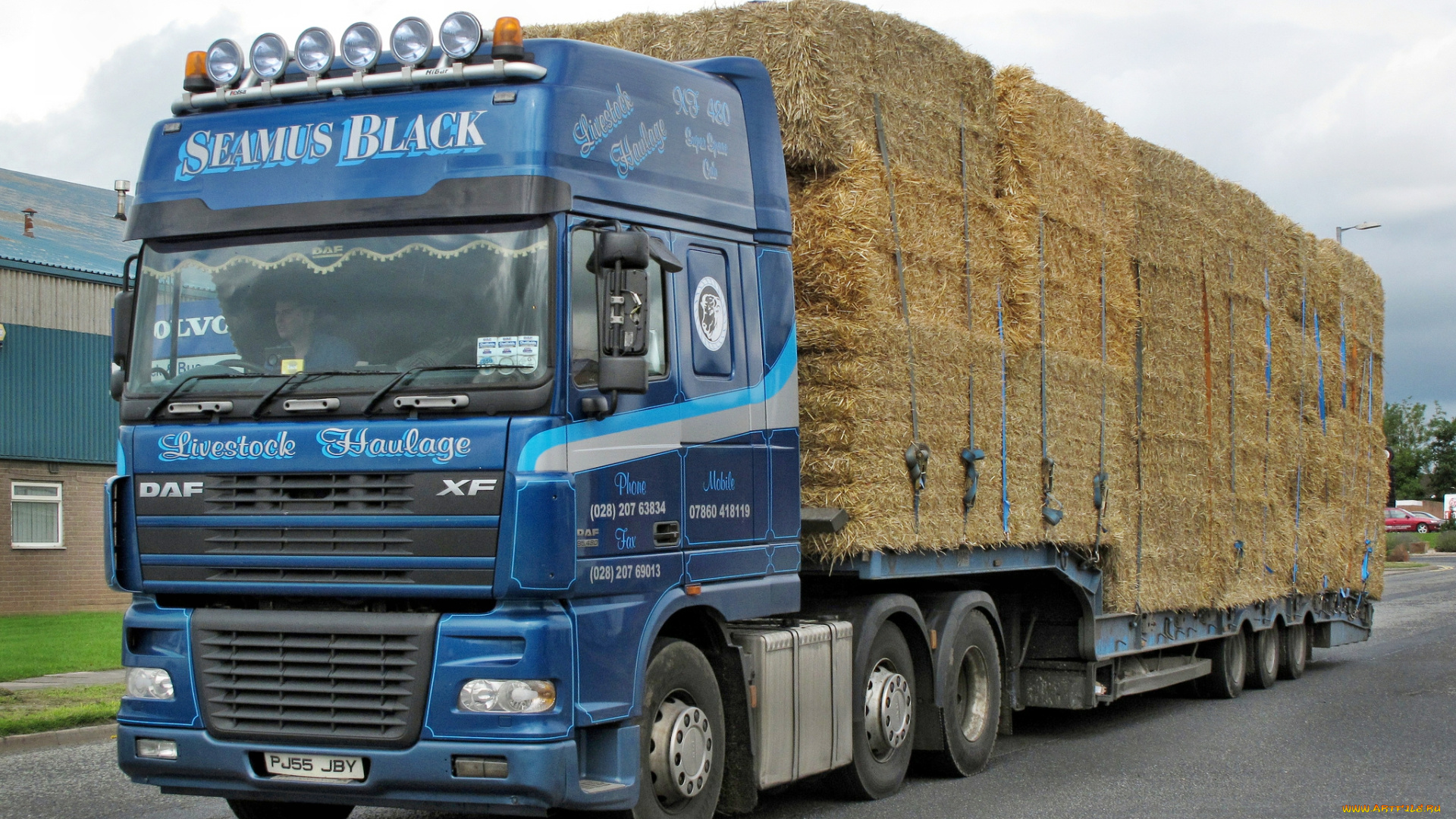 автомобили, daf, , выставка, улица, шасси, тягачи, trucks, nv, нидерланды, автобусы, седельные, daf