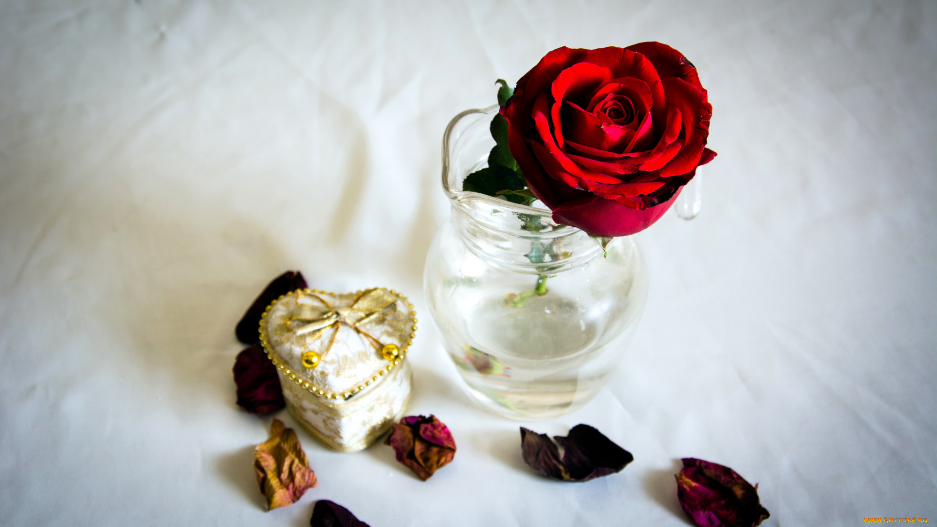 цветы, розы, ваза, красный, лепестки, шкатулка