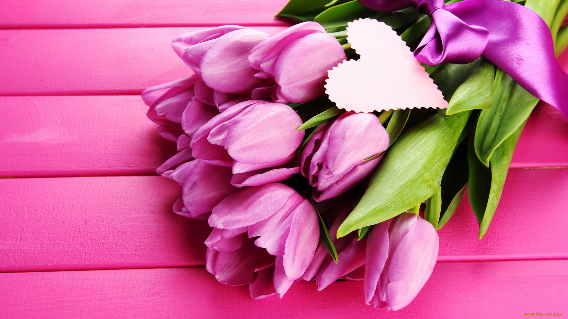 цветы, тюльпаны, сердце