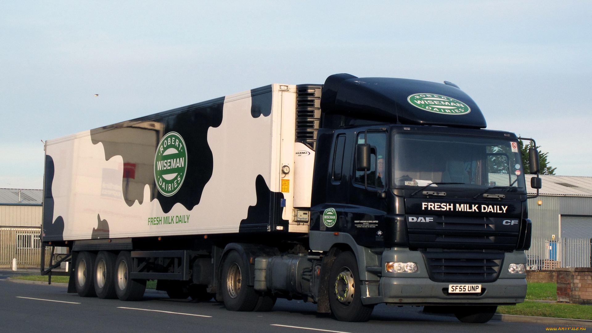 daf, автомобили, daf, , выставка, улица, nv, тягачи, седельные, шасси, автобусы, нидерланды, trucks