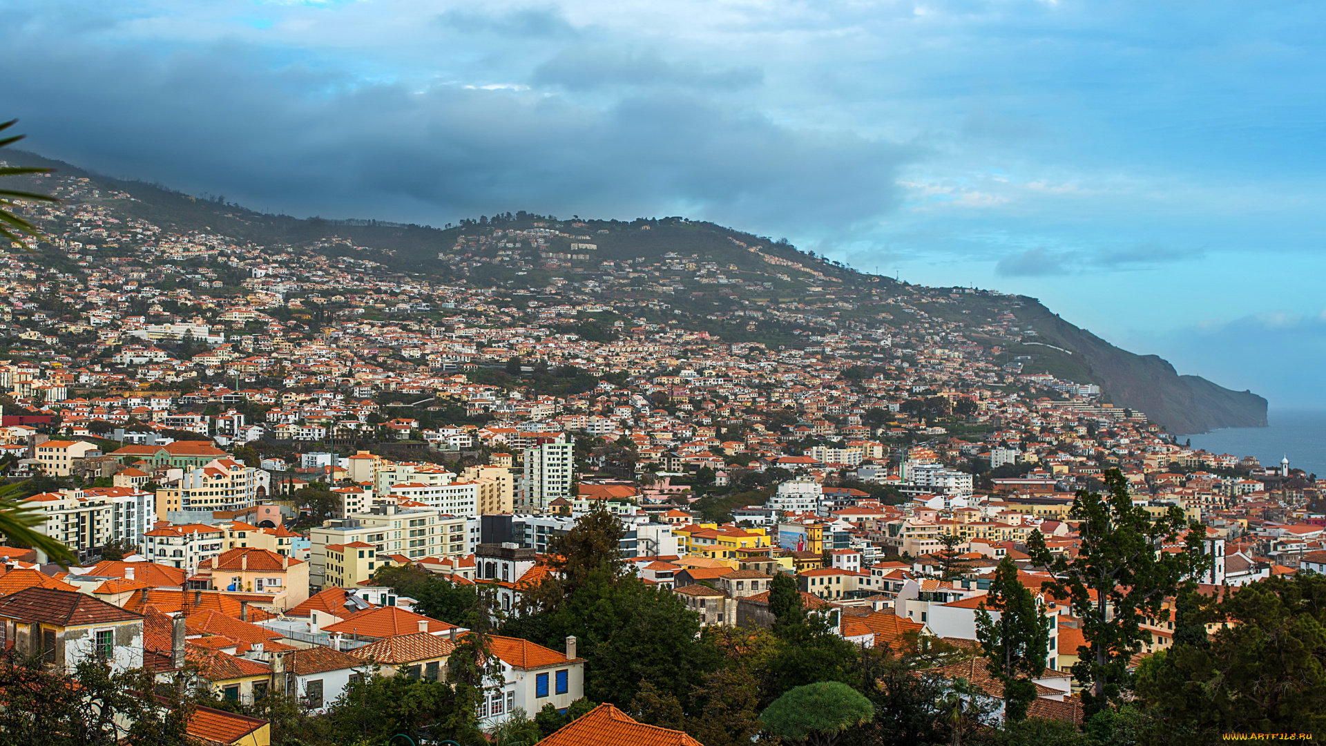 funchal, madeira, города, -, панорамы, панорама, дома, португалия, madeira, funchal
