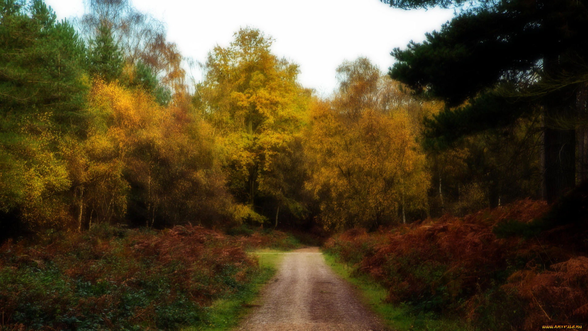 природа, дороги, sherbrook, долина