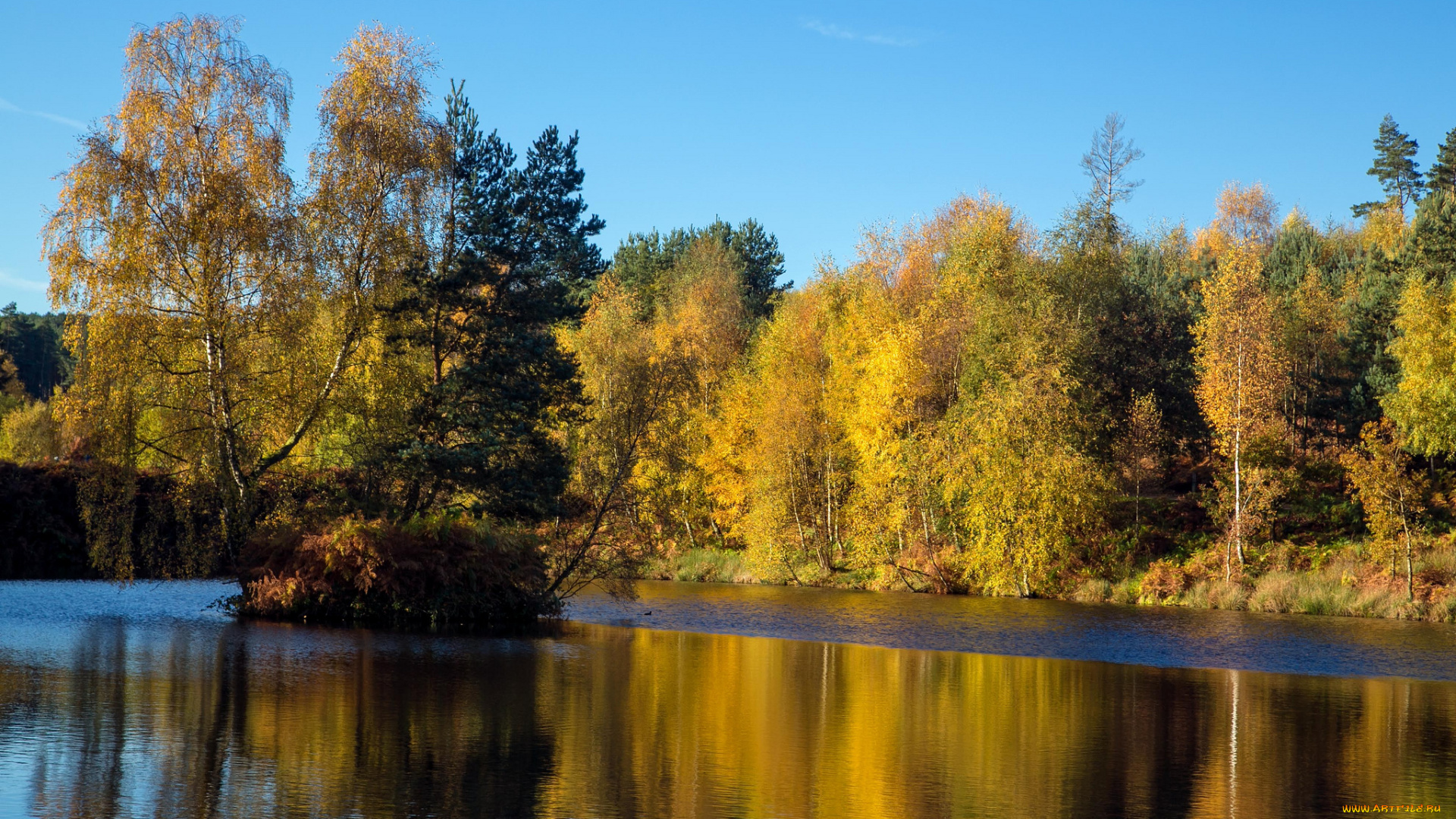 природа, реки, озера, золото, жидкое