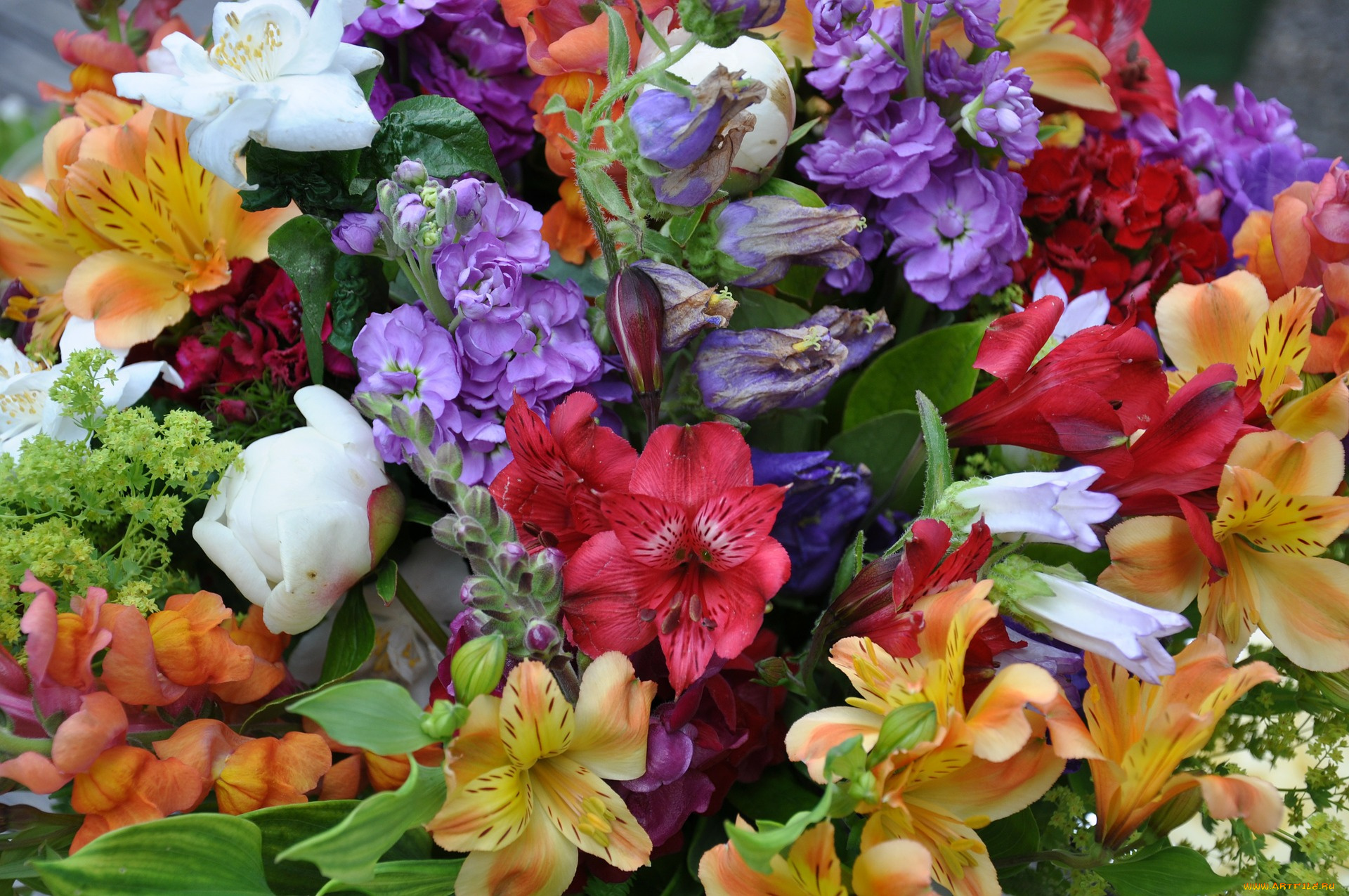 цветы, разные, вместе, пион, альстромерия