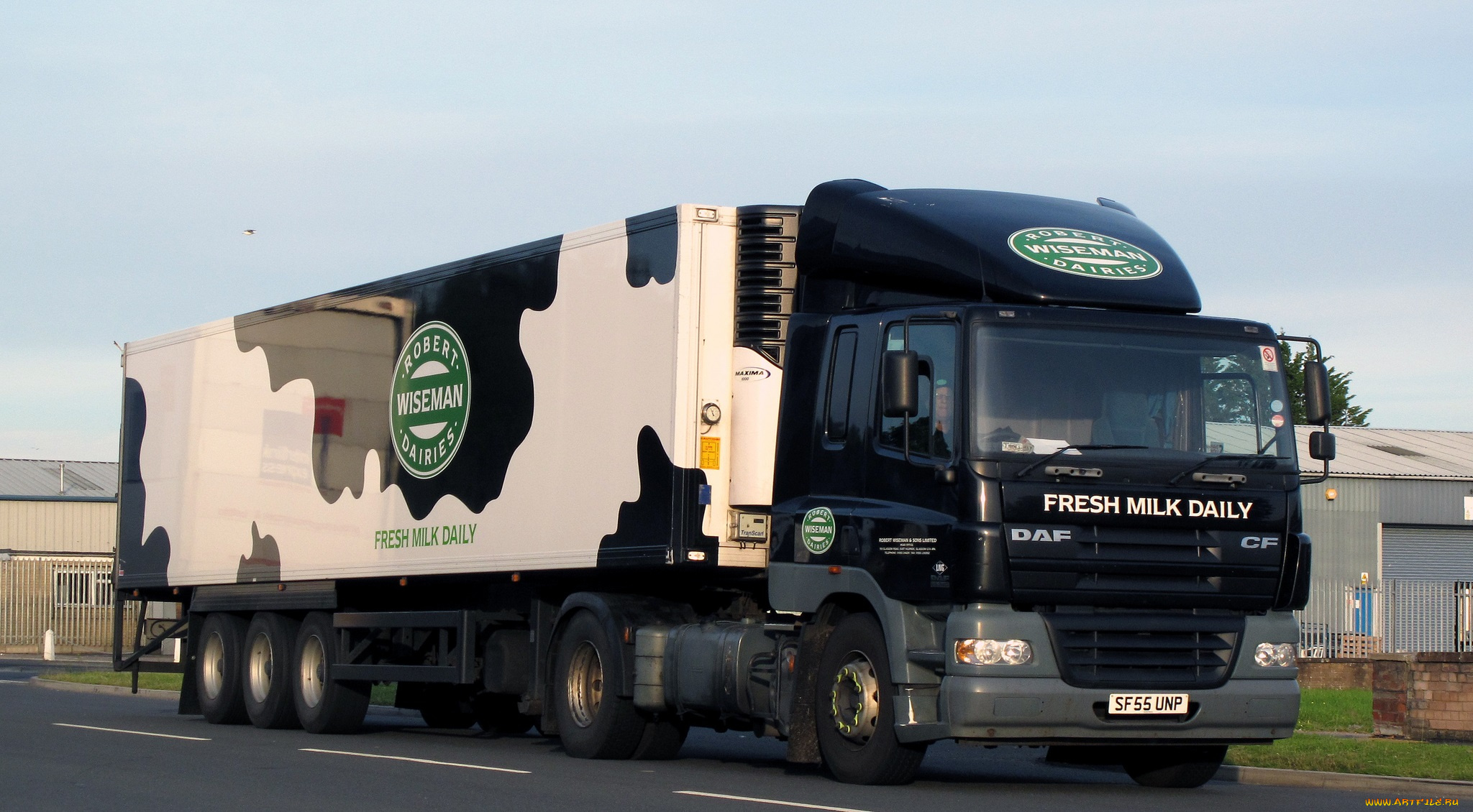 daf, автомобили, daf, , выставка, улица, nv, тягачи, седельные, шасси, автобусы, нидерланды, trucks