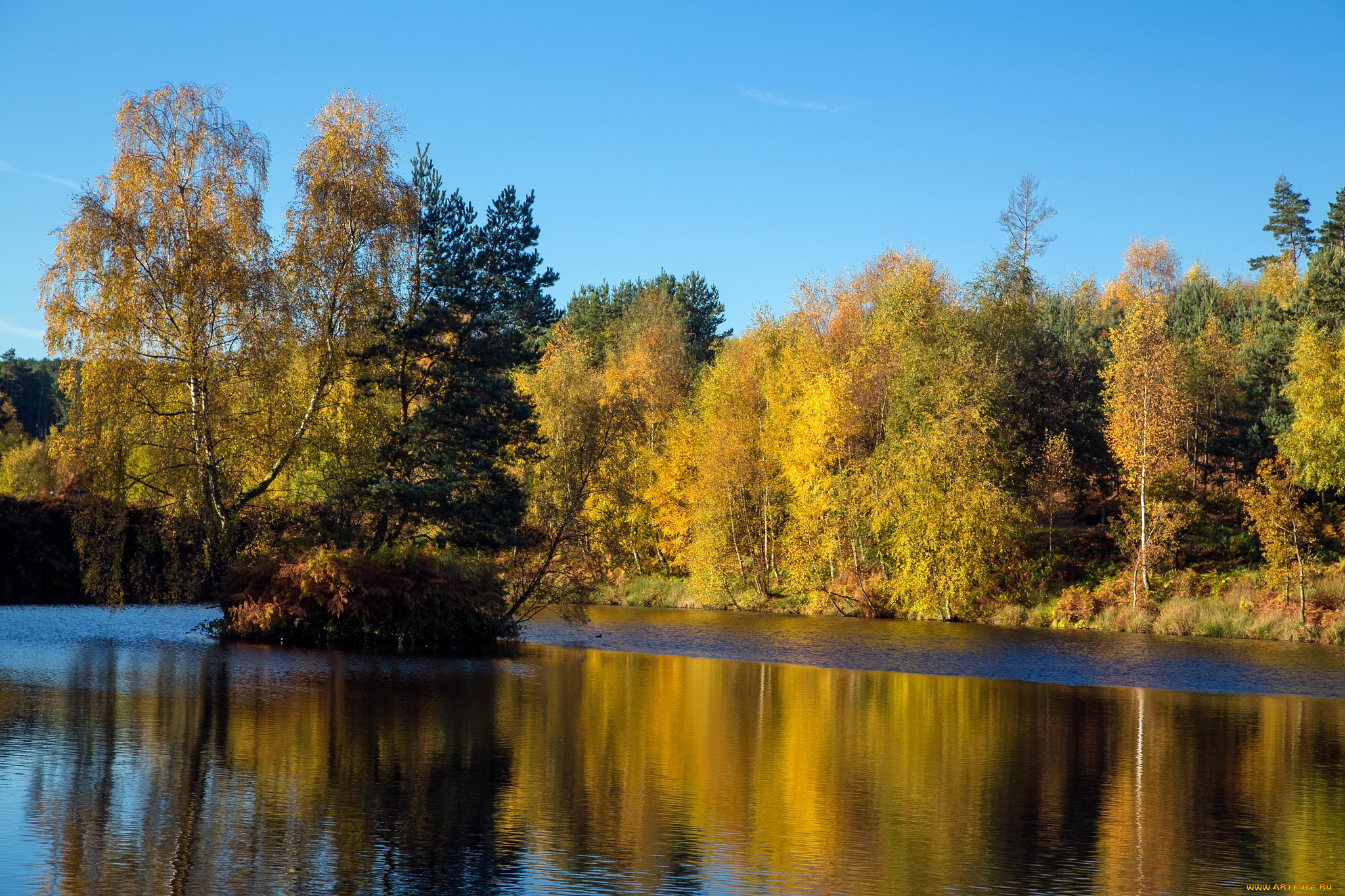 природа, реки, озера, золото, жидкое