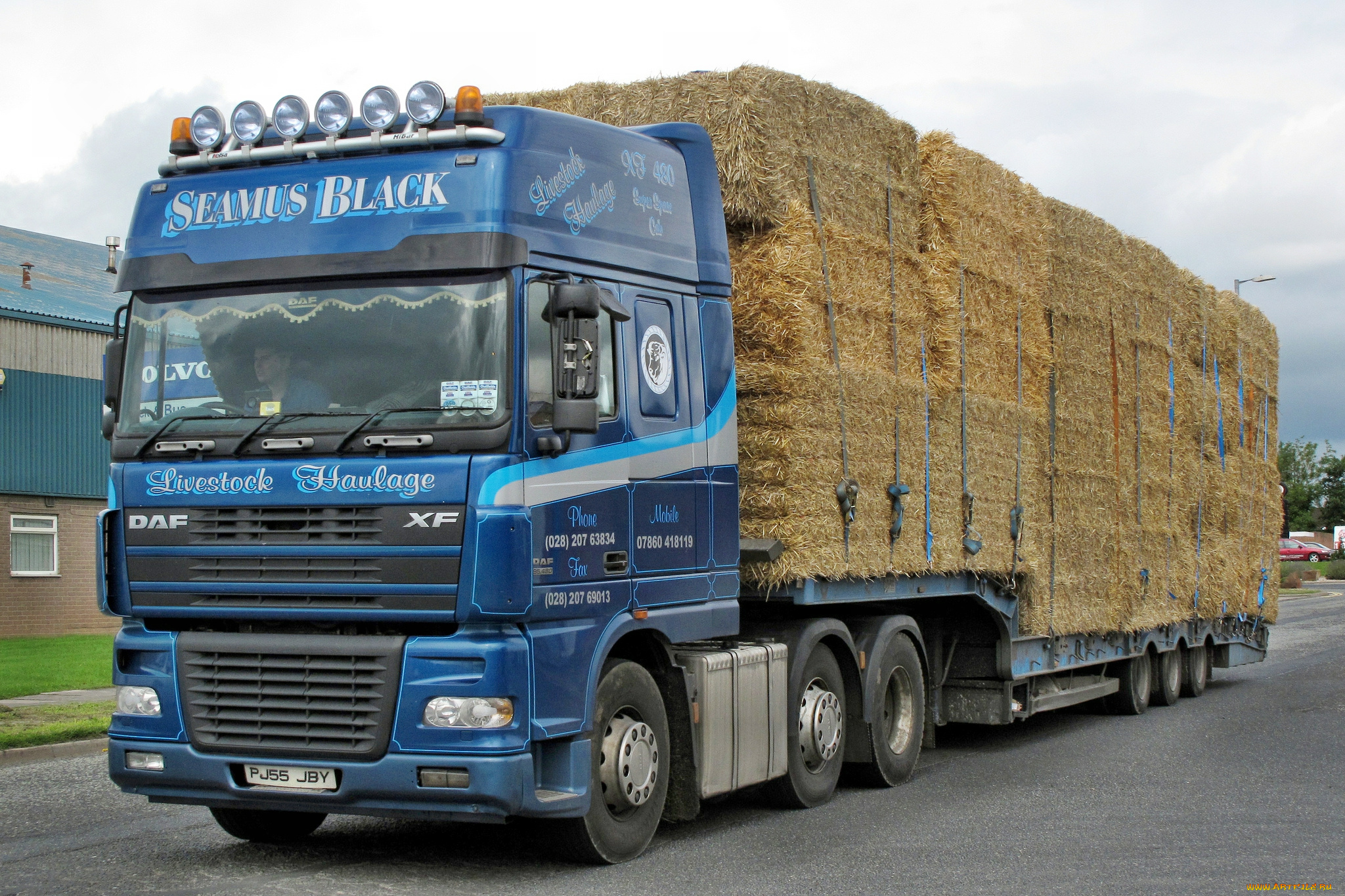 автомобили, daf, , выставка, улица, шасси, тягачи, trucks, nv, нидерланды, автобусы, седельные, daf