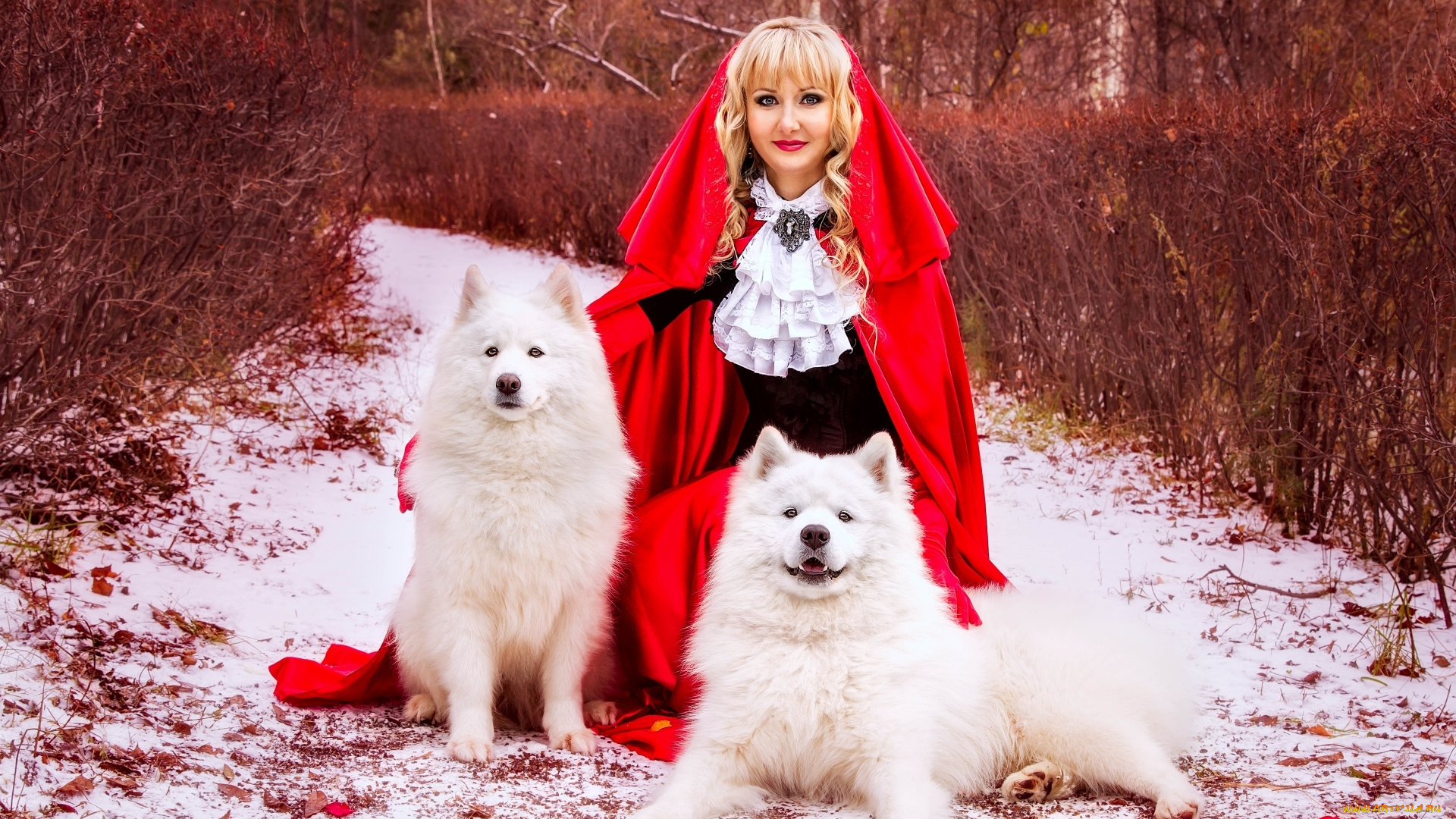 девушки, -unsort, , блондинки, блондинка, собаки, плащ