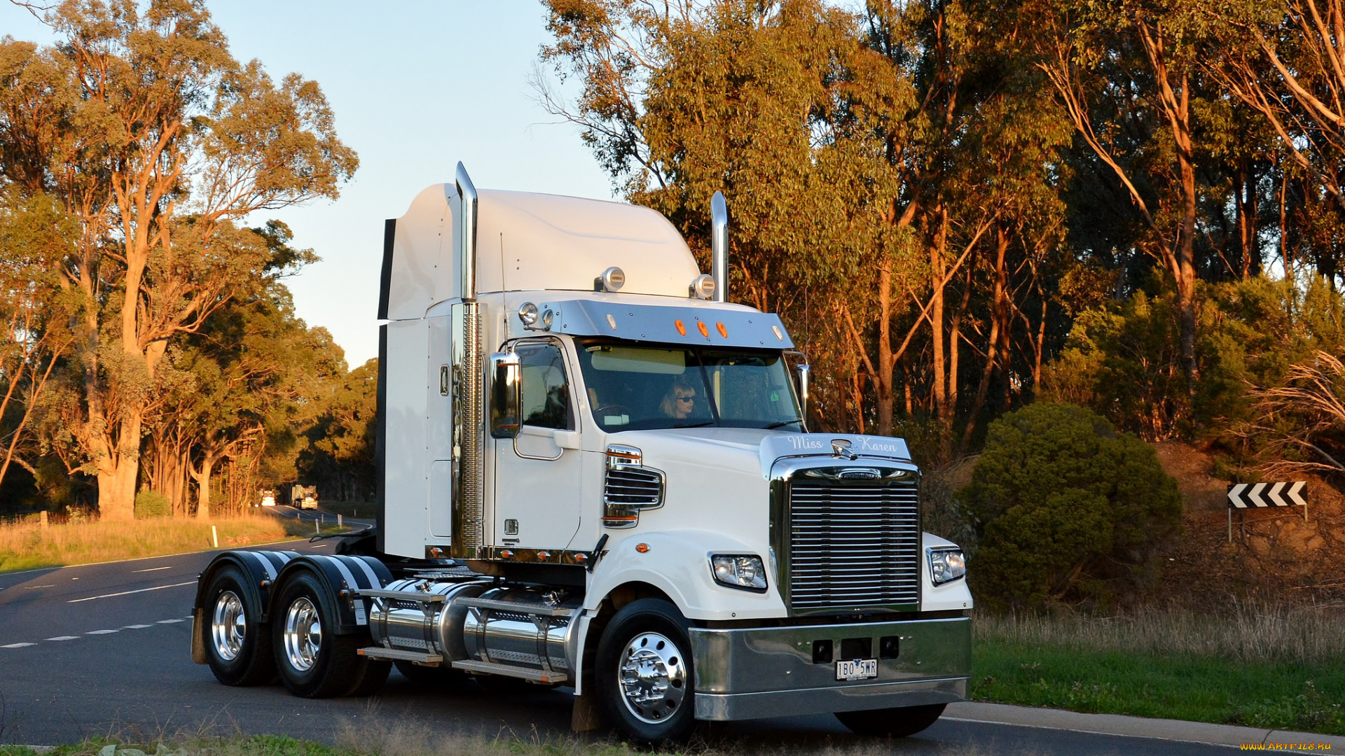 freightliner, автомобили, тягач, седельный, грузовик, тяжелый