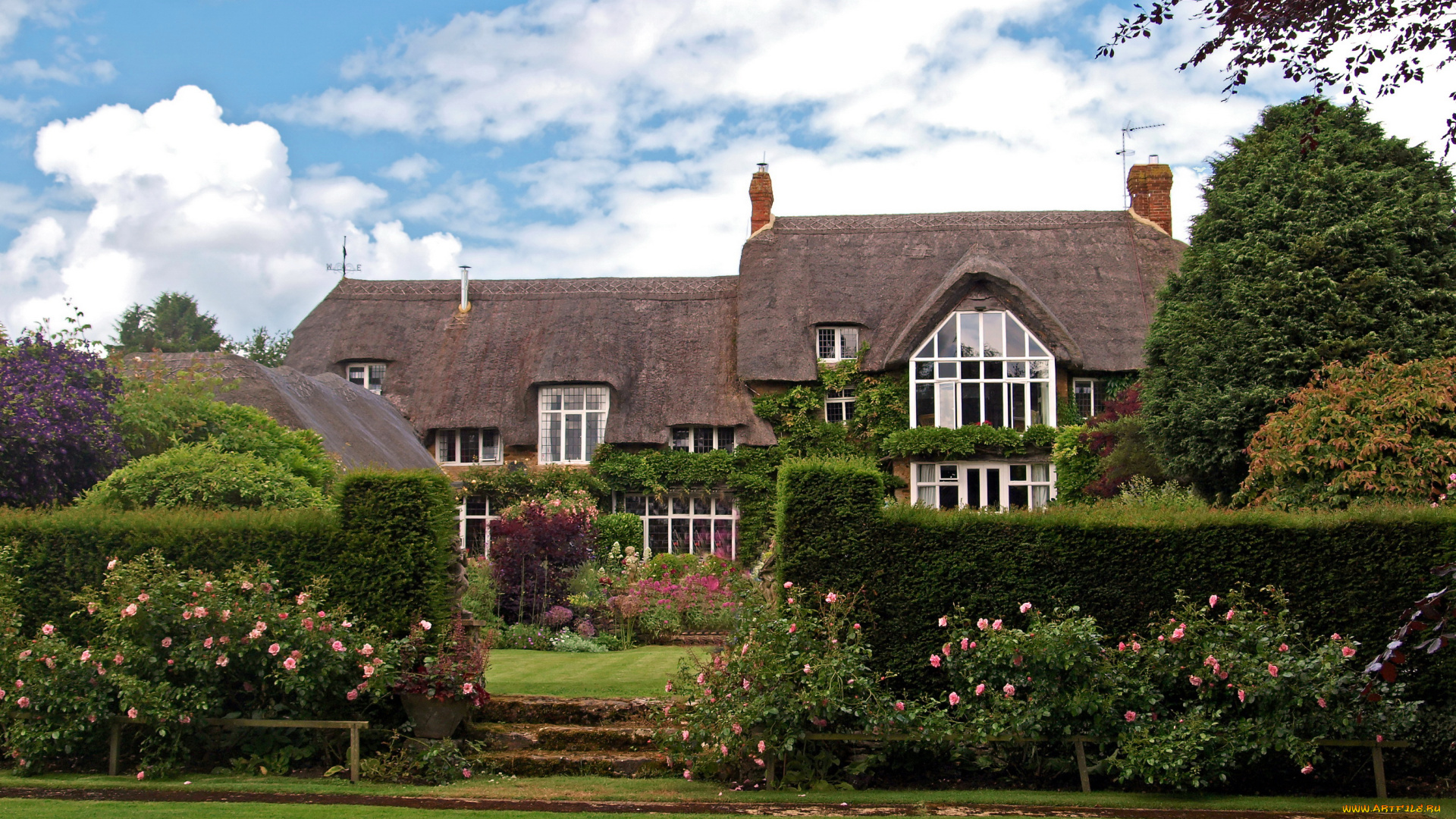 города, -, здания, , дома, газон, ландшафт, дома, кусты