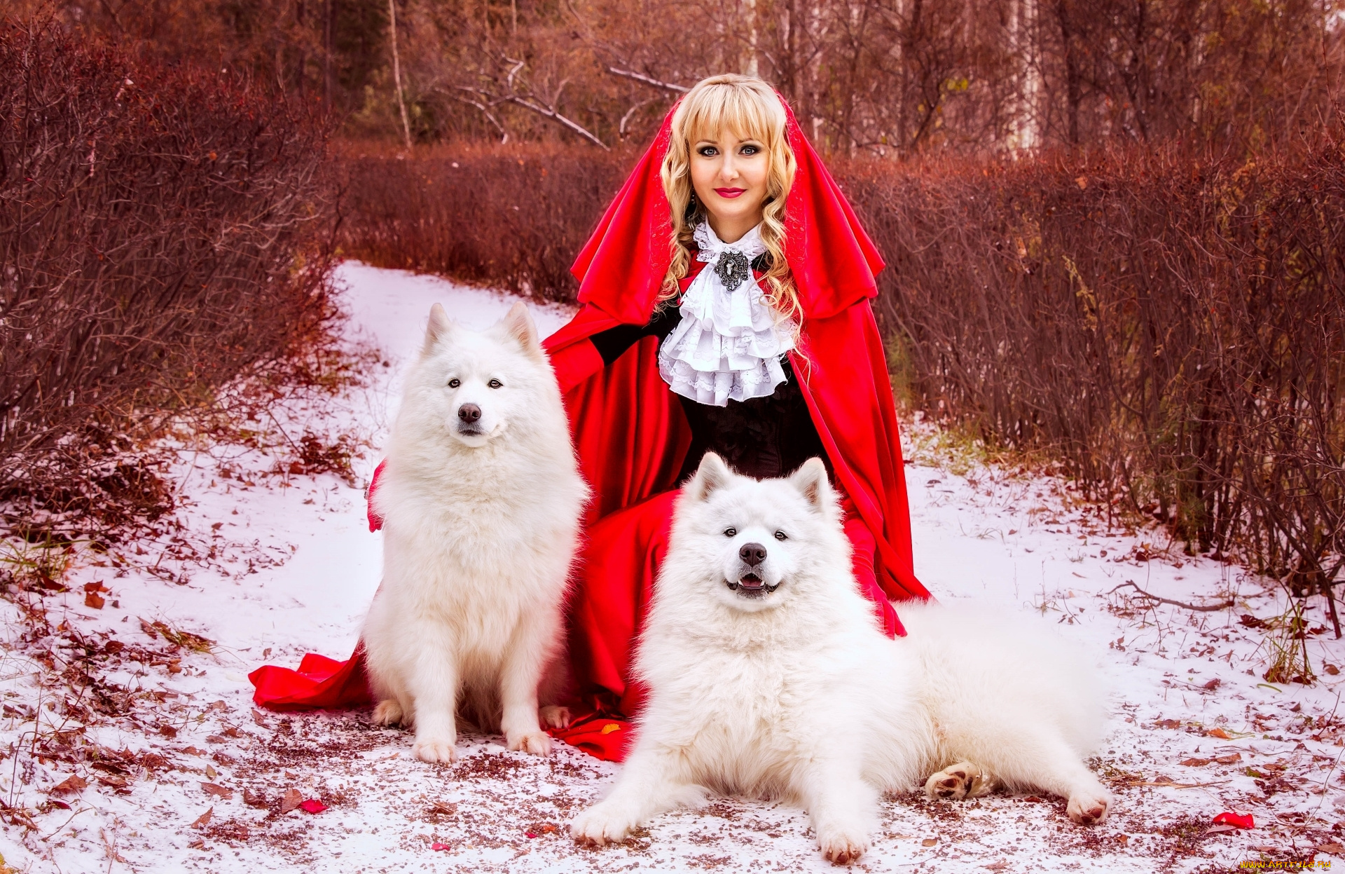 девушки, -unsort, , блондинки, блондинка, собаки, плащ