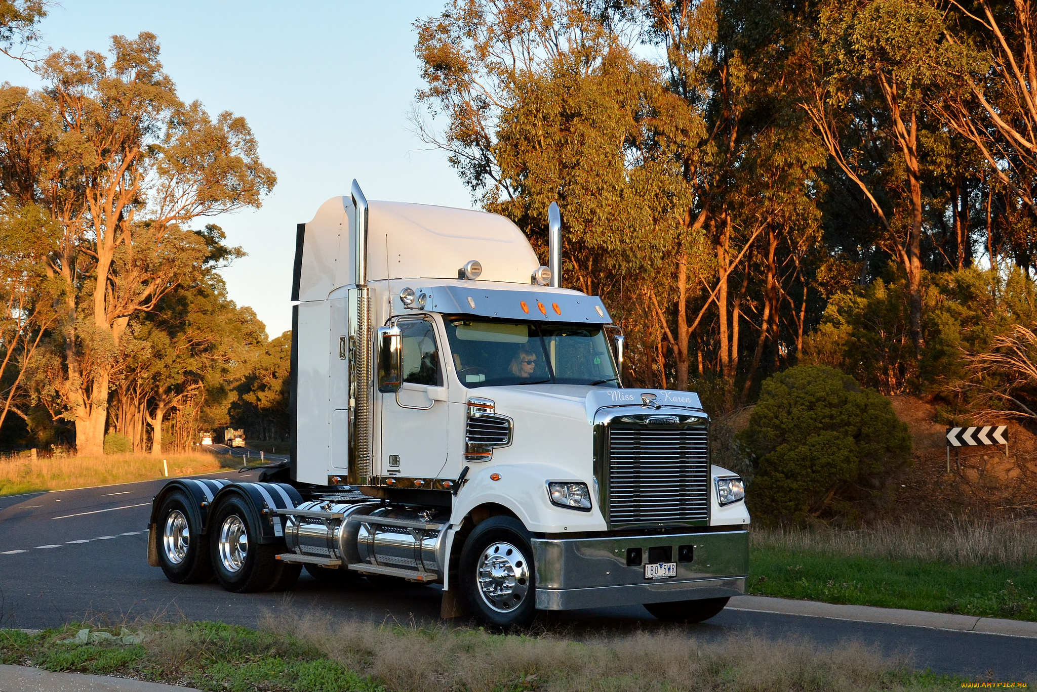 freightliner, автомобили, тягач, седельный, грузовик, тяжелый