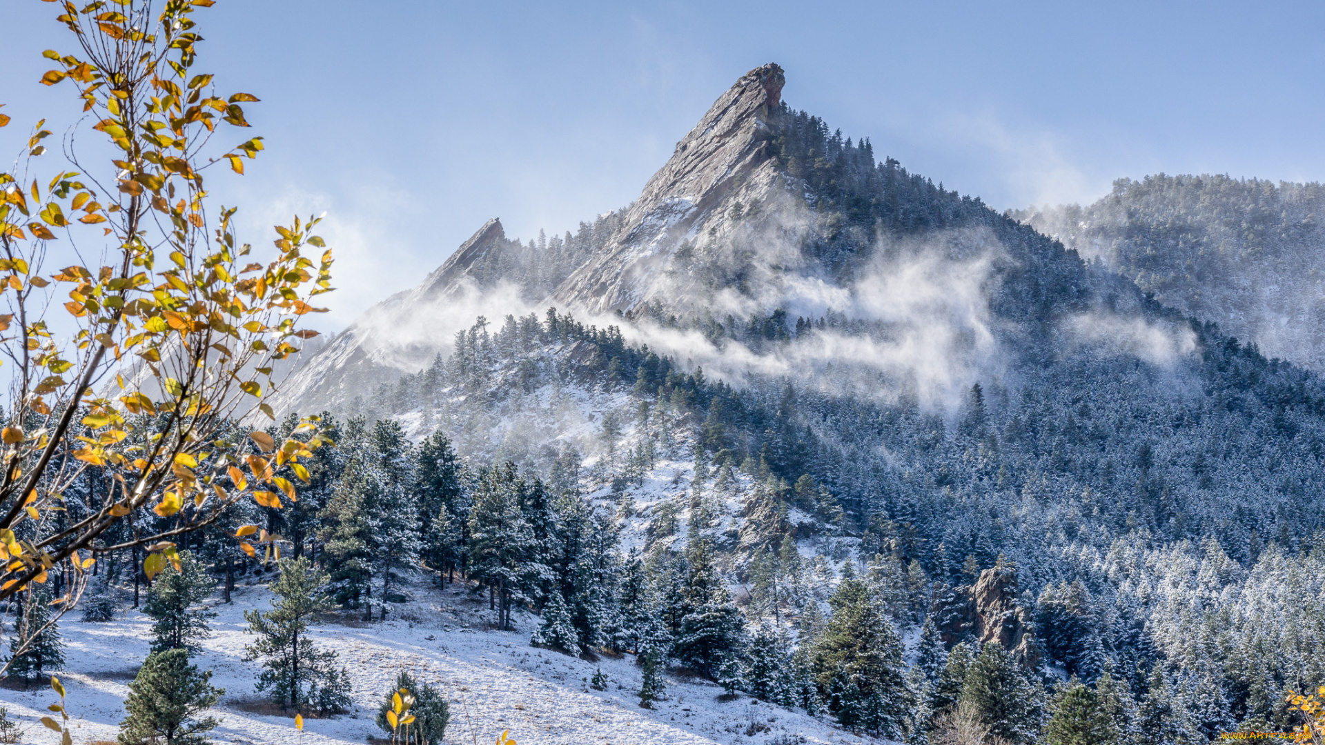 природа, горы, гора, лес, снег