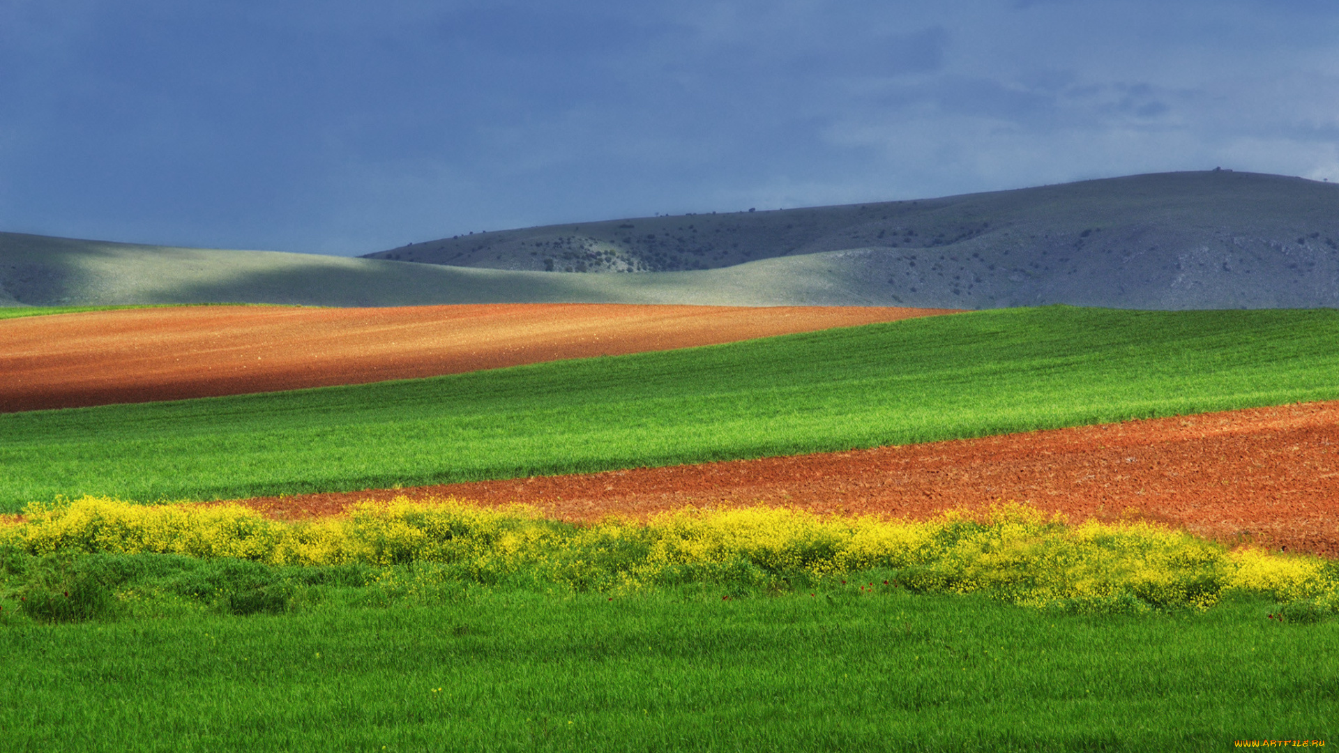 природа, пейзажи, луг, пейзаж