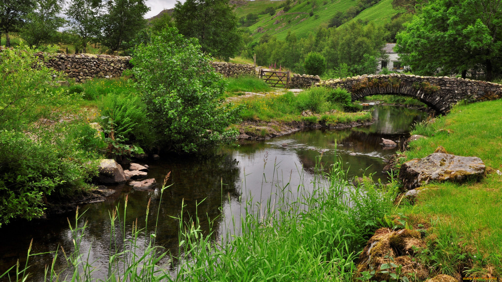 природа, реки, озера, bell, ah-1z, viper