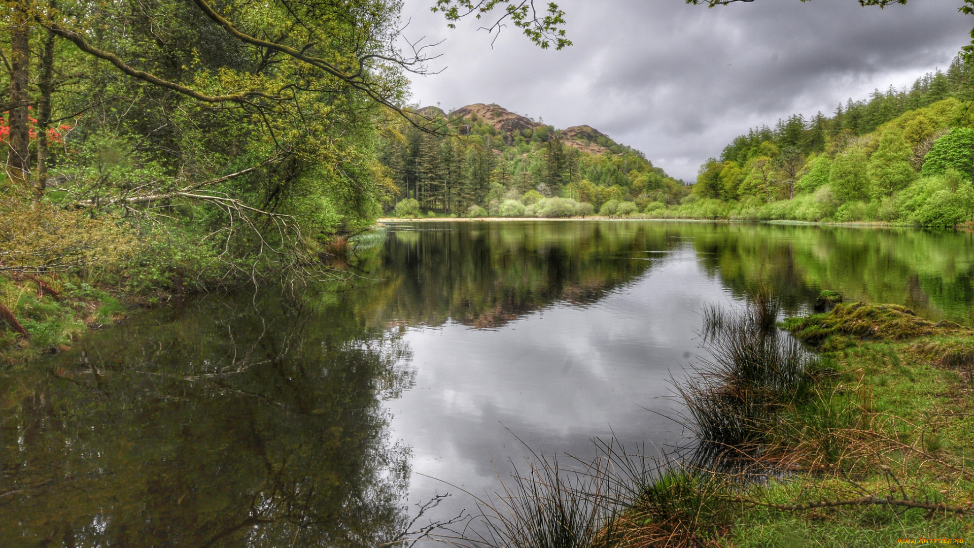 природа, реки, озера, bell, ah-1z, viper