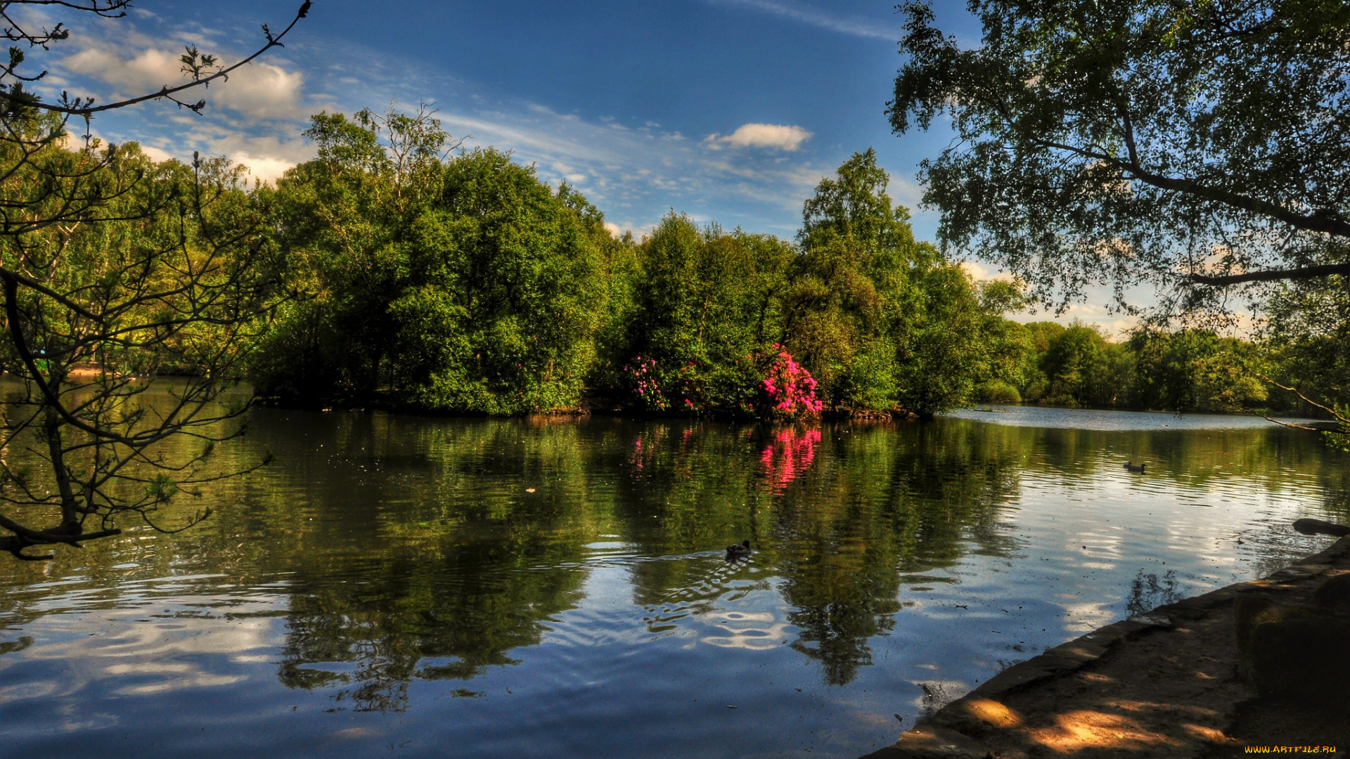 природа, реки, озера, bell, ah-1z, viper