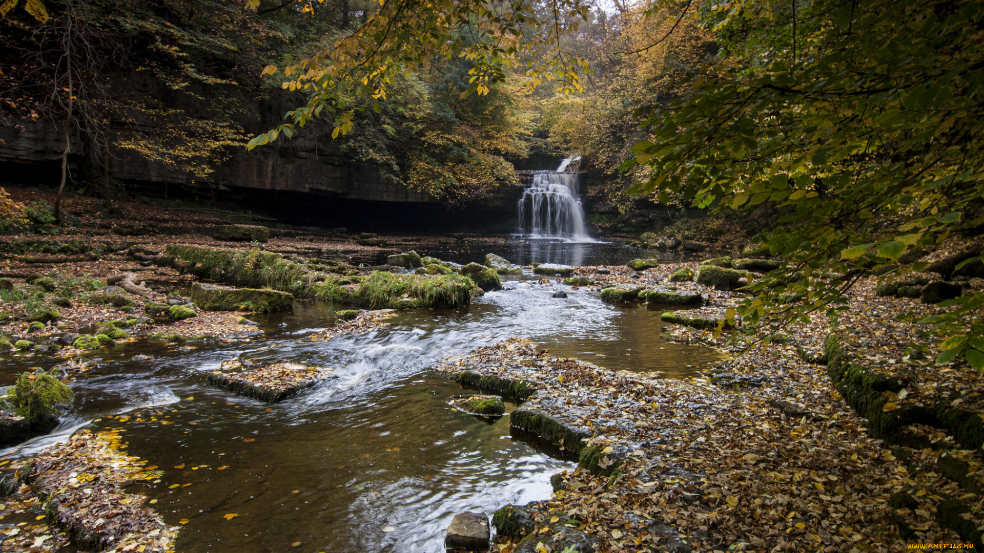 природа, водопады, лес, река