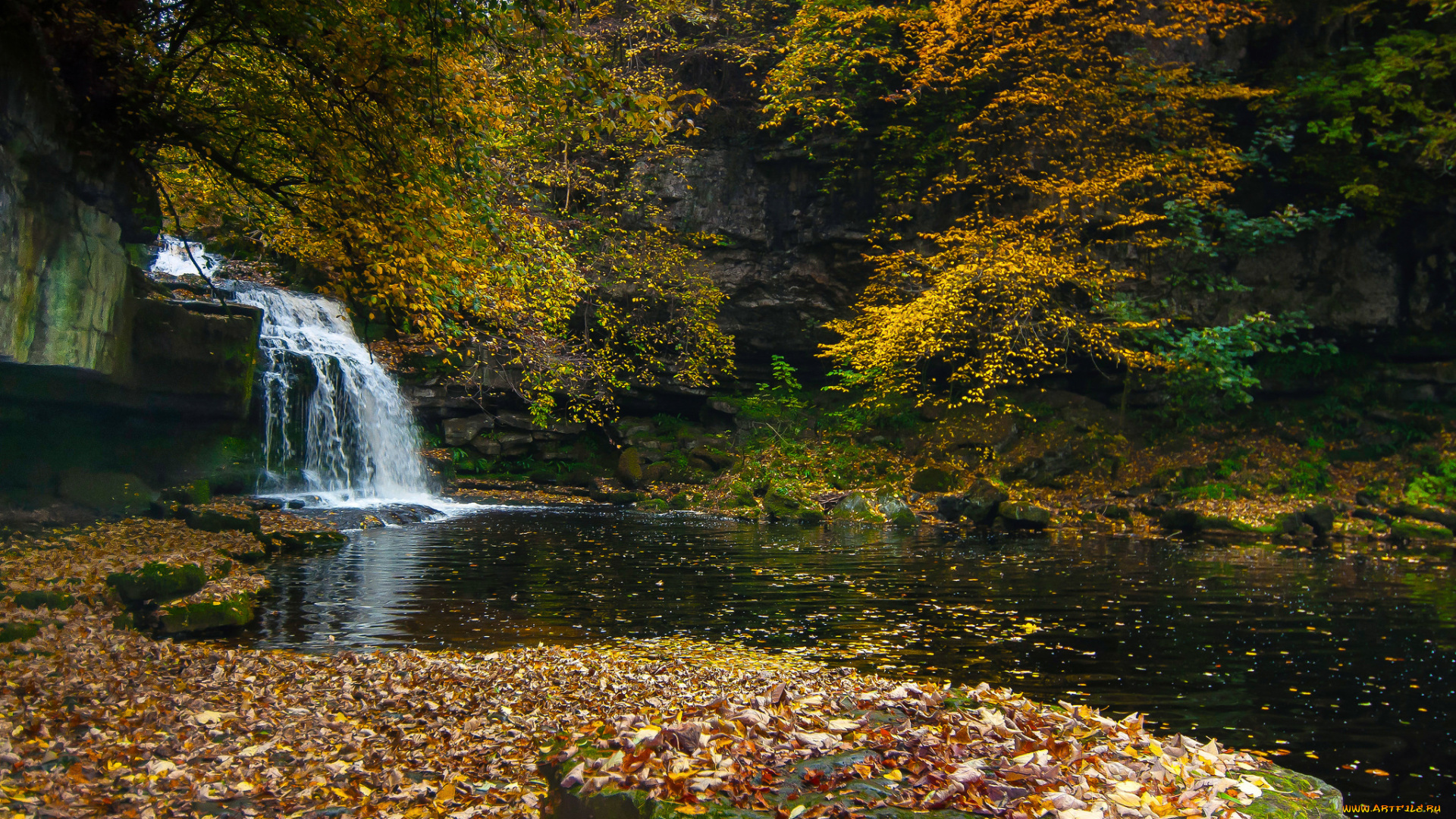 природа, водопады, лес, река