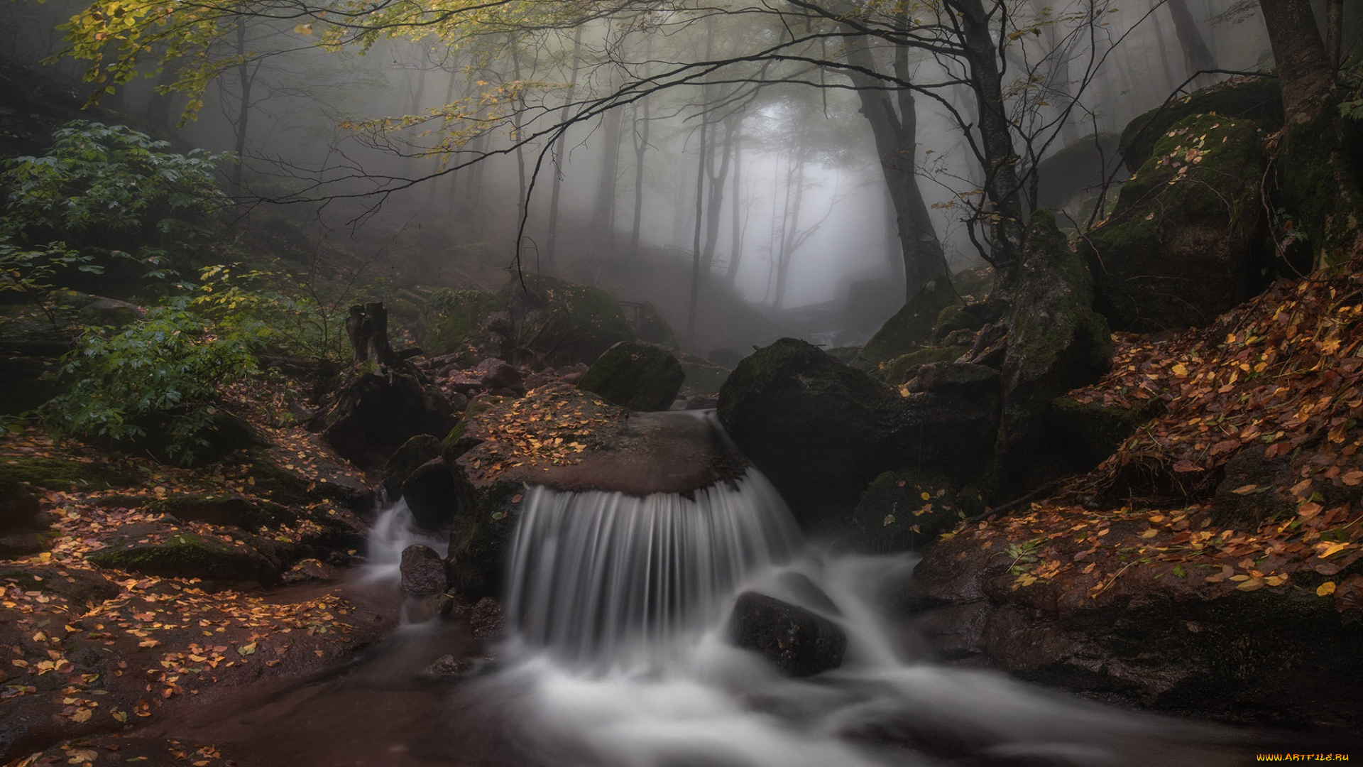 природа, водопады, пейзаж, ручей, лес