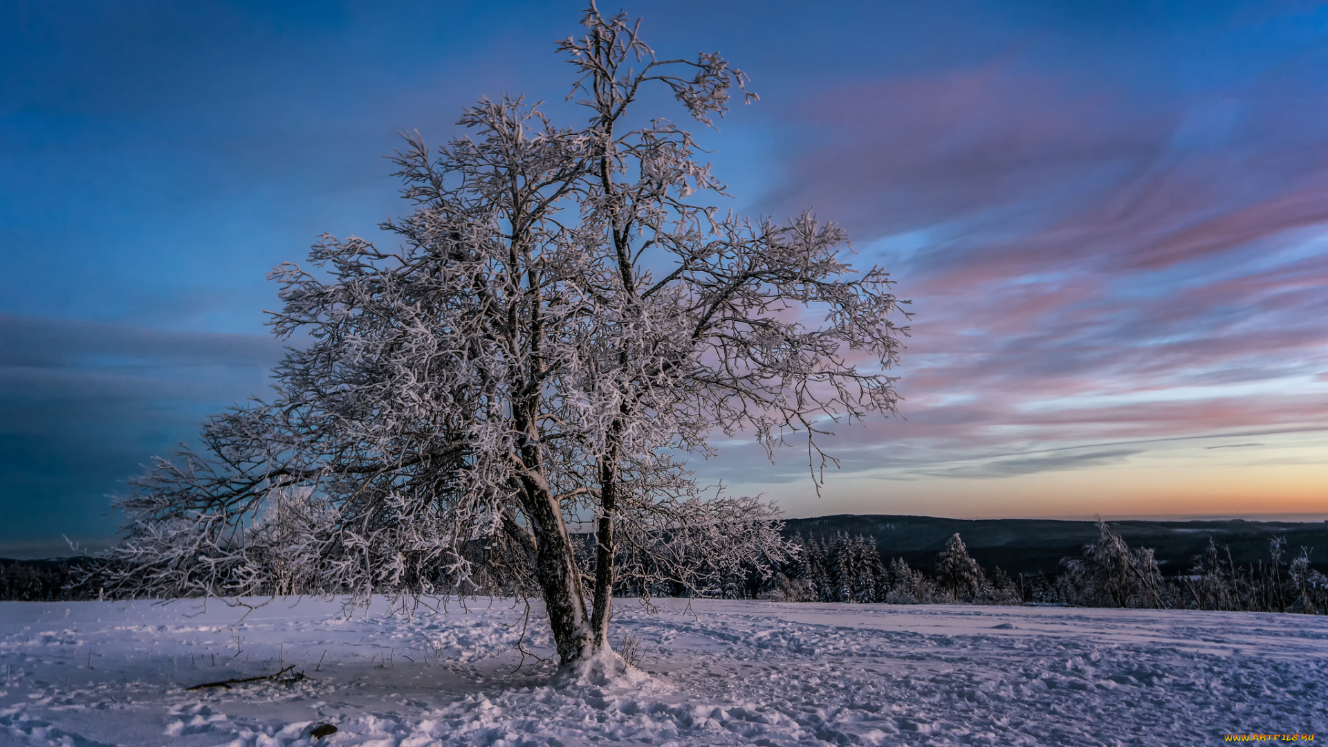 природа, зима, снег, поле