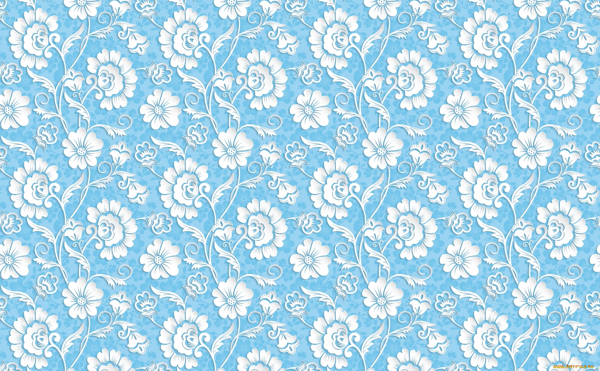 векторная, графика, цветы, , flowers, цветы, объём