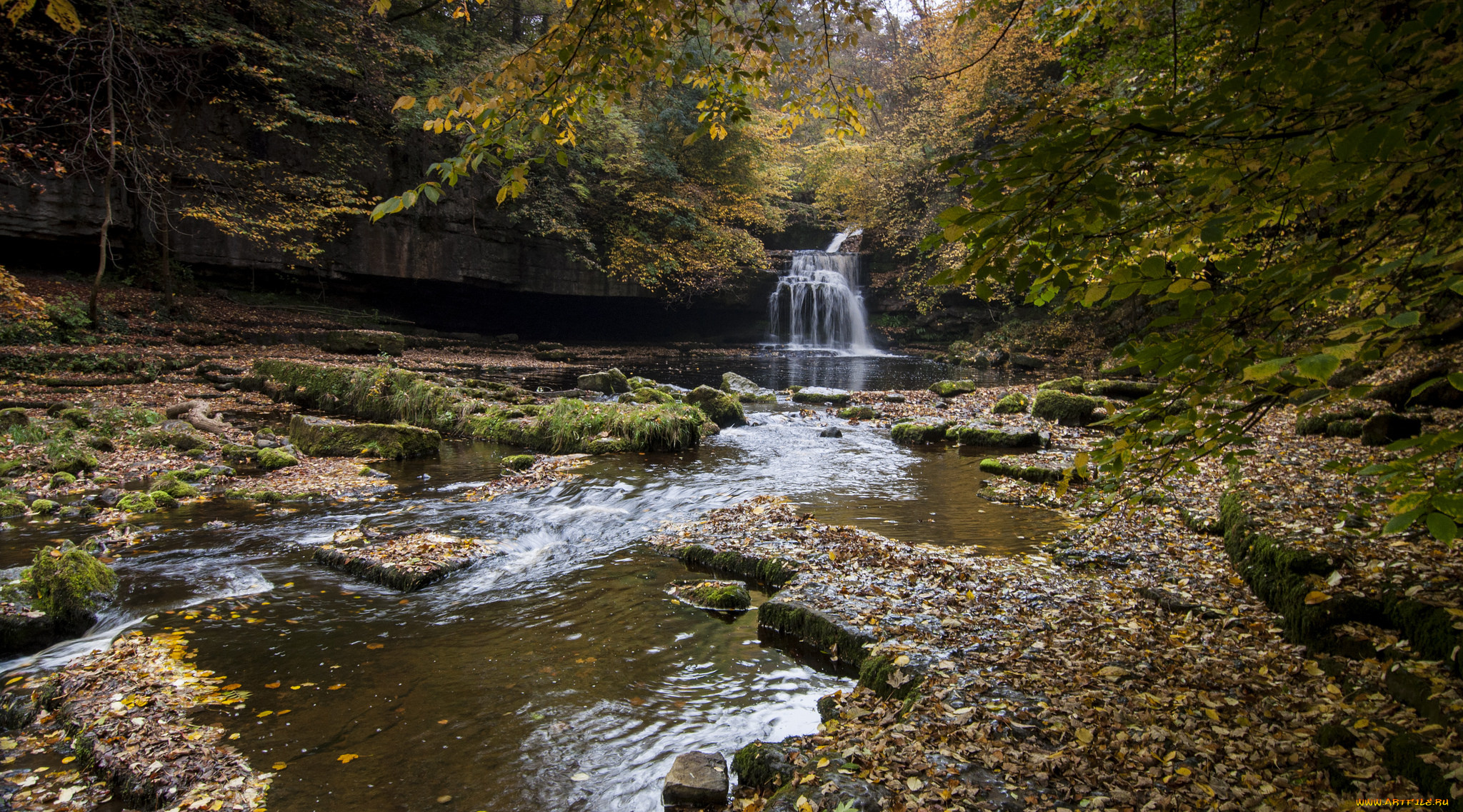 природа, водопады, лес, река