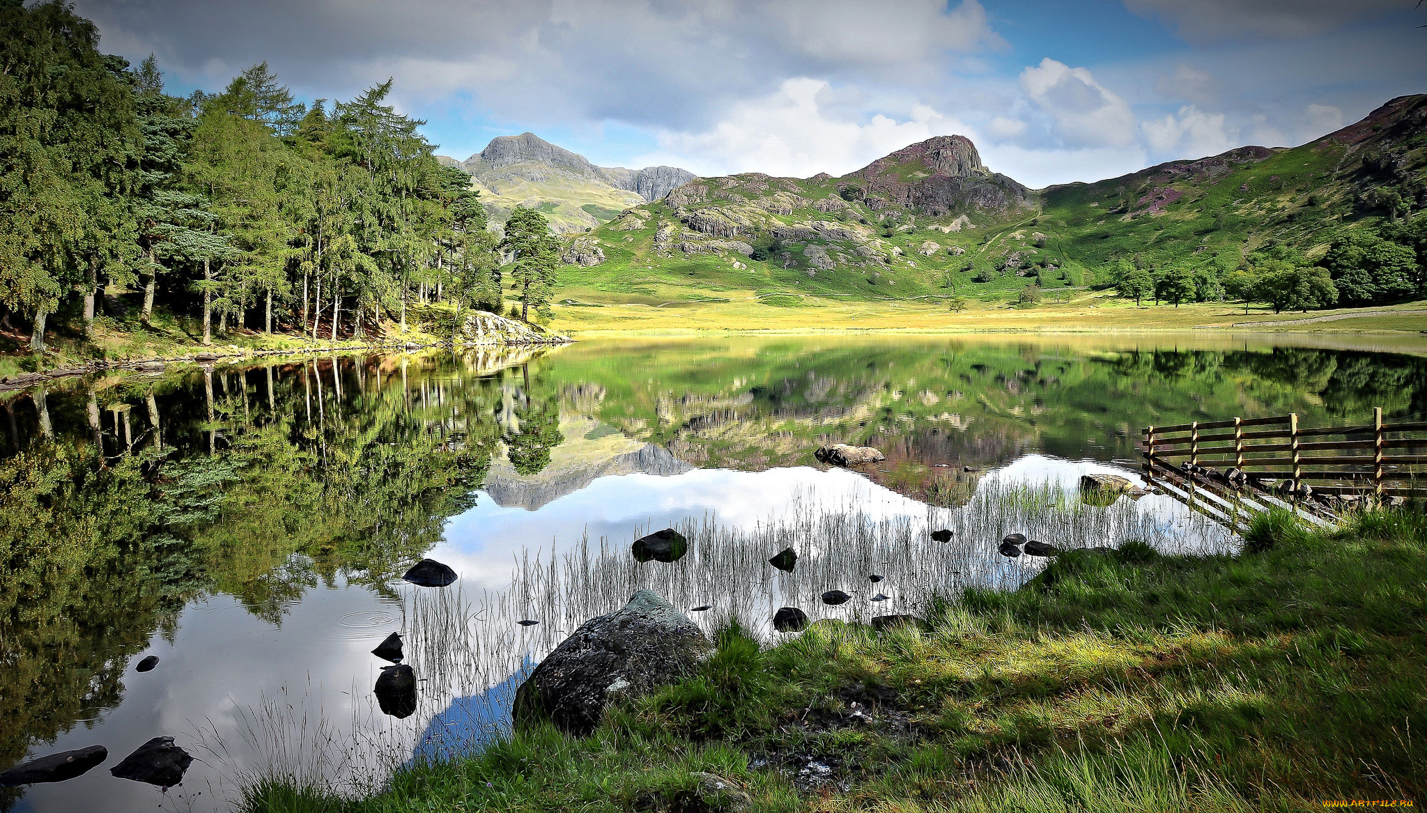 природа, реки, озера, лес, река