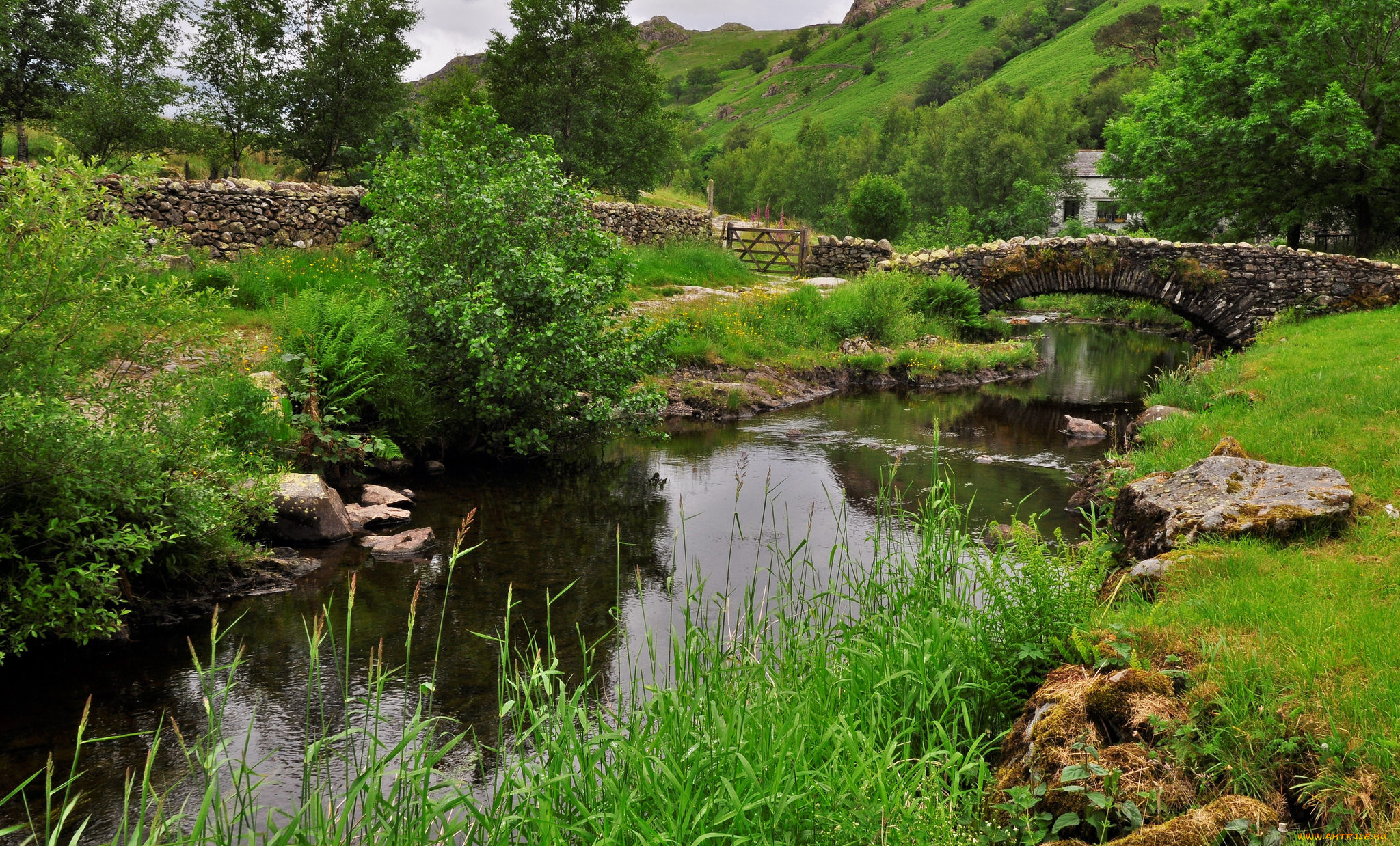 природа, реки, озера, bell, ah-1z, viper