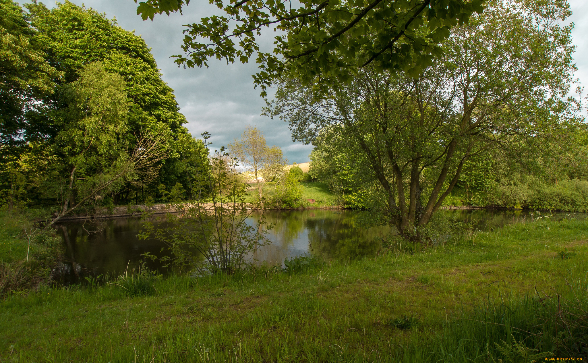 природа, реки, озера, лес, река