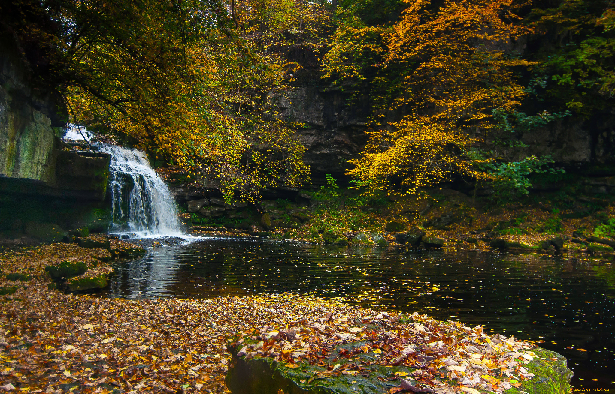 природа, водопады, лес, река