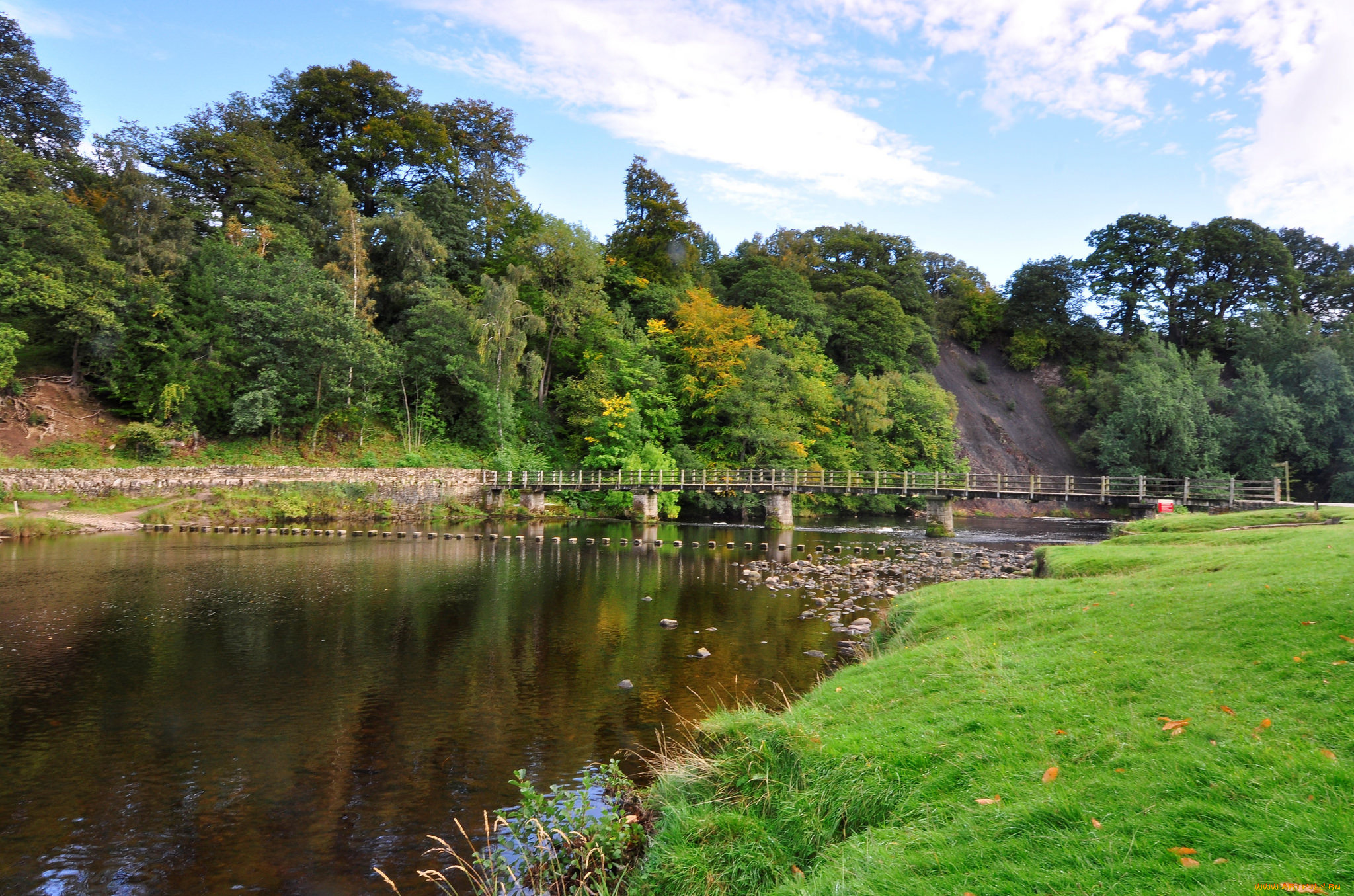 природа, реки, озера, река, лес