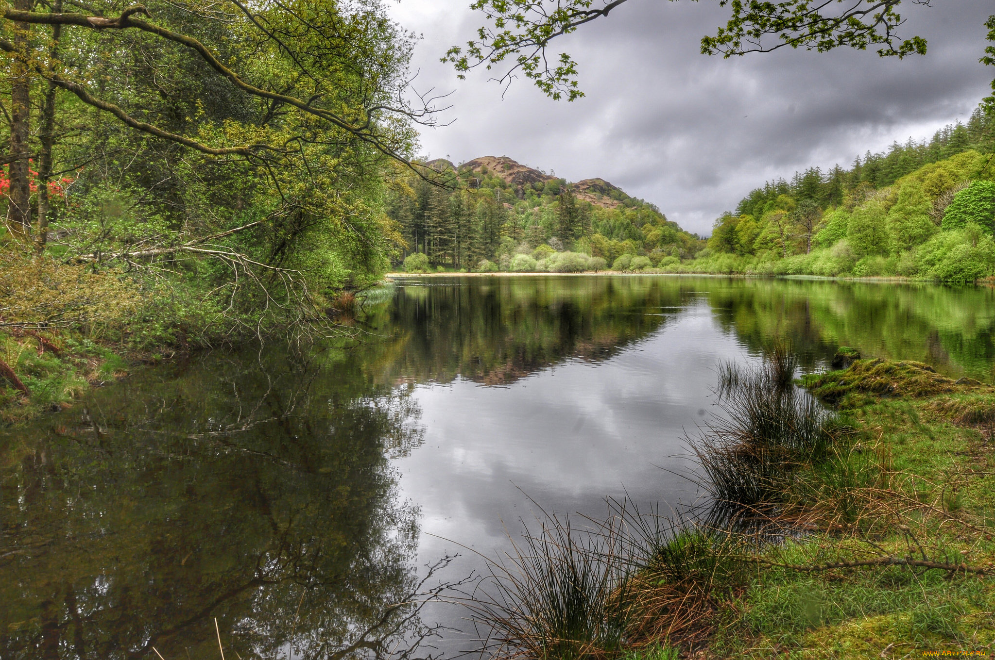природа, реки, озера, bell, ah-1z, viper