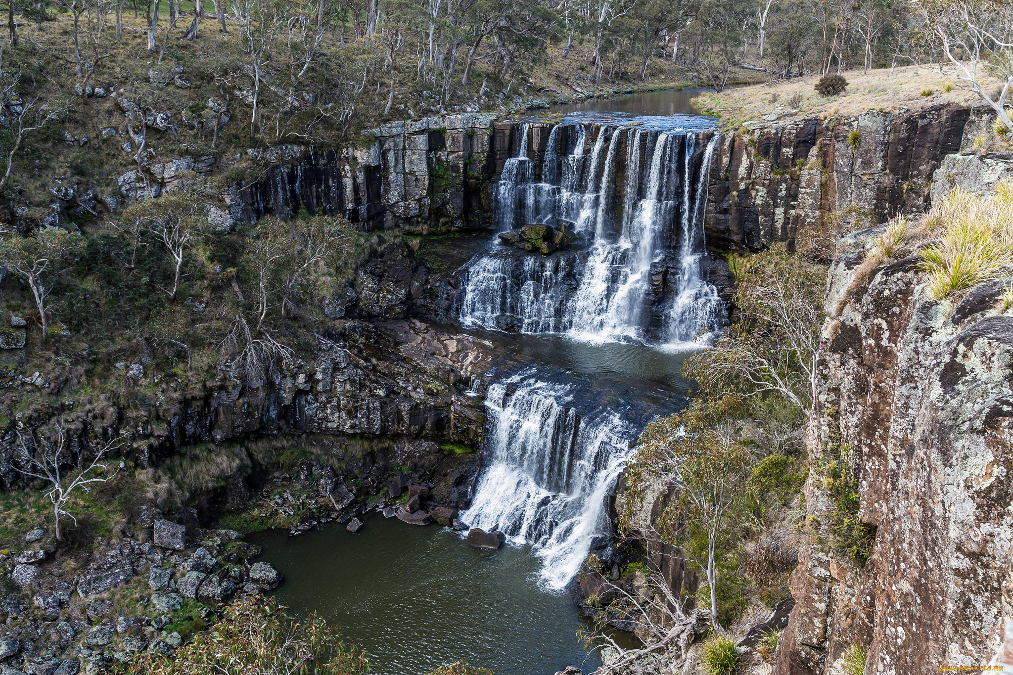 природа, водопады, лес, река, водопад