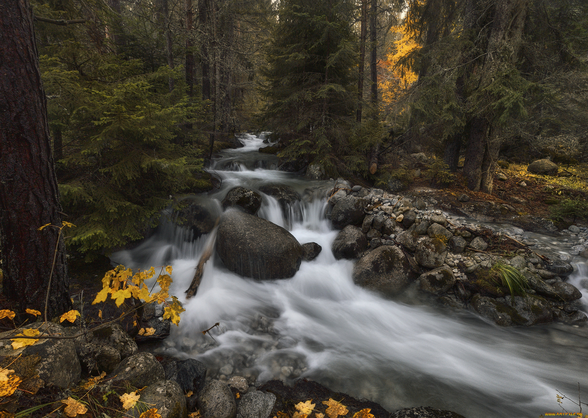 природа, реки, озера, пейзаж, река