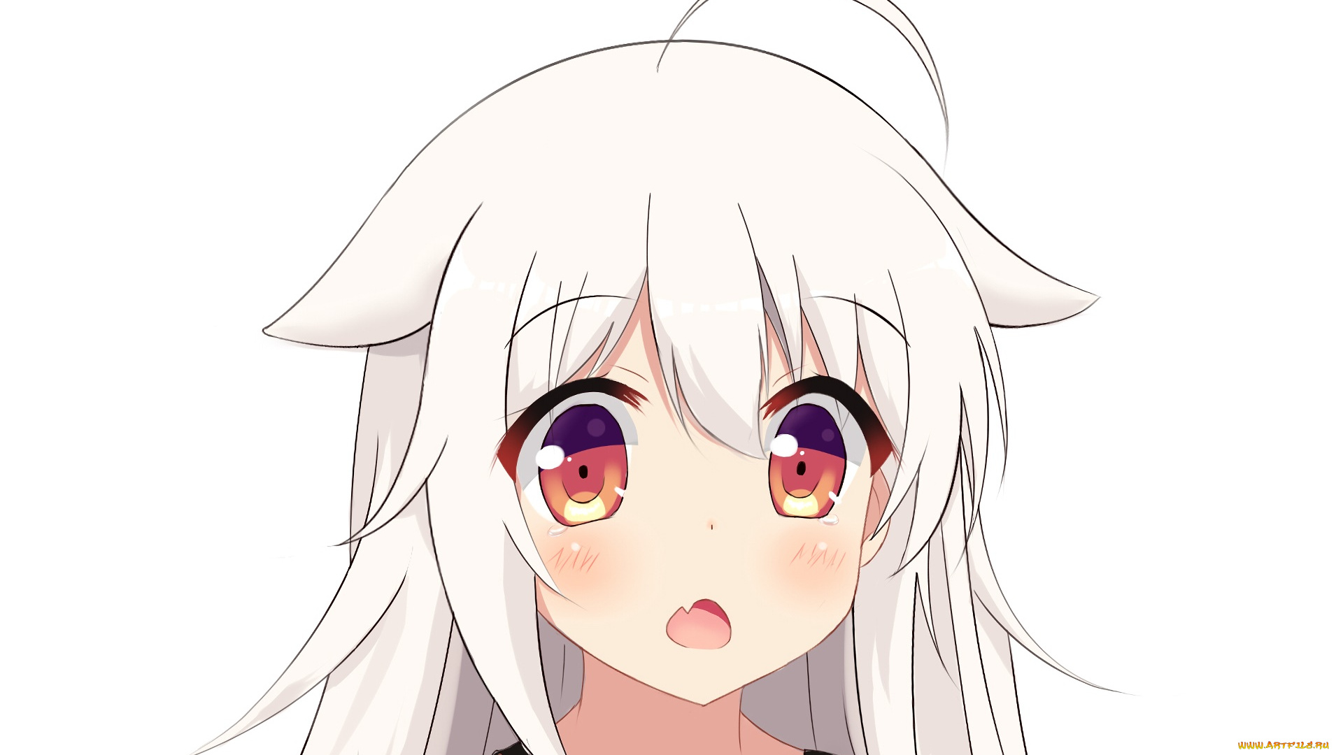 аниме, urara, meirochou, фон, взгляд, девушка