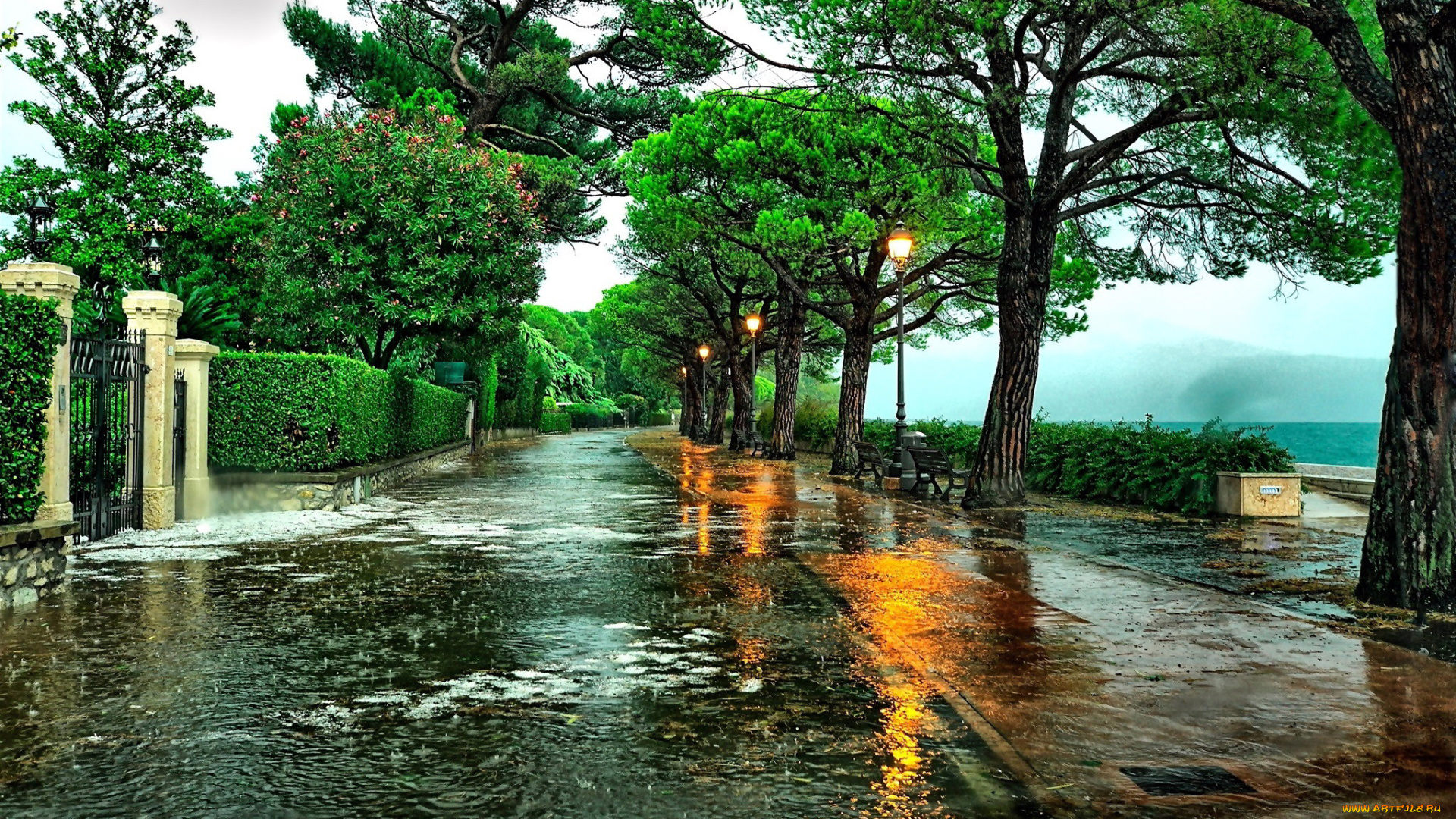города, -, улицы, , площади, , набережные, деревья, фонари, дорога, дождь