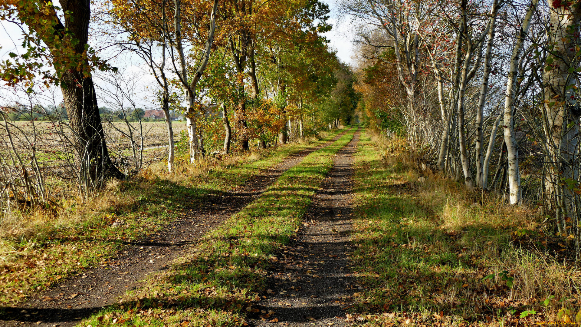 природа, дороги, тракт